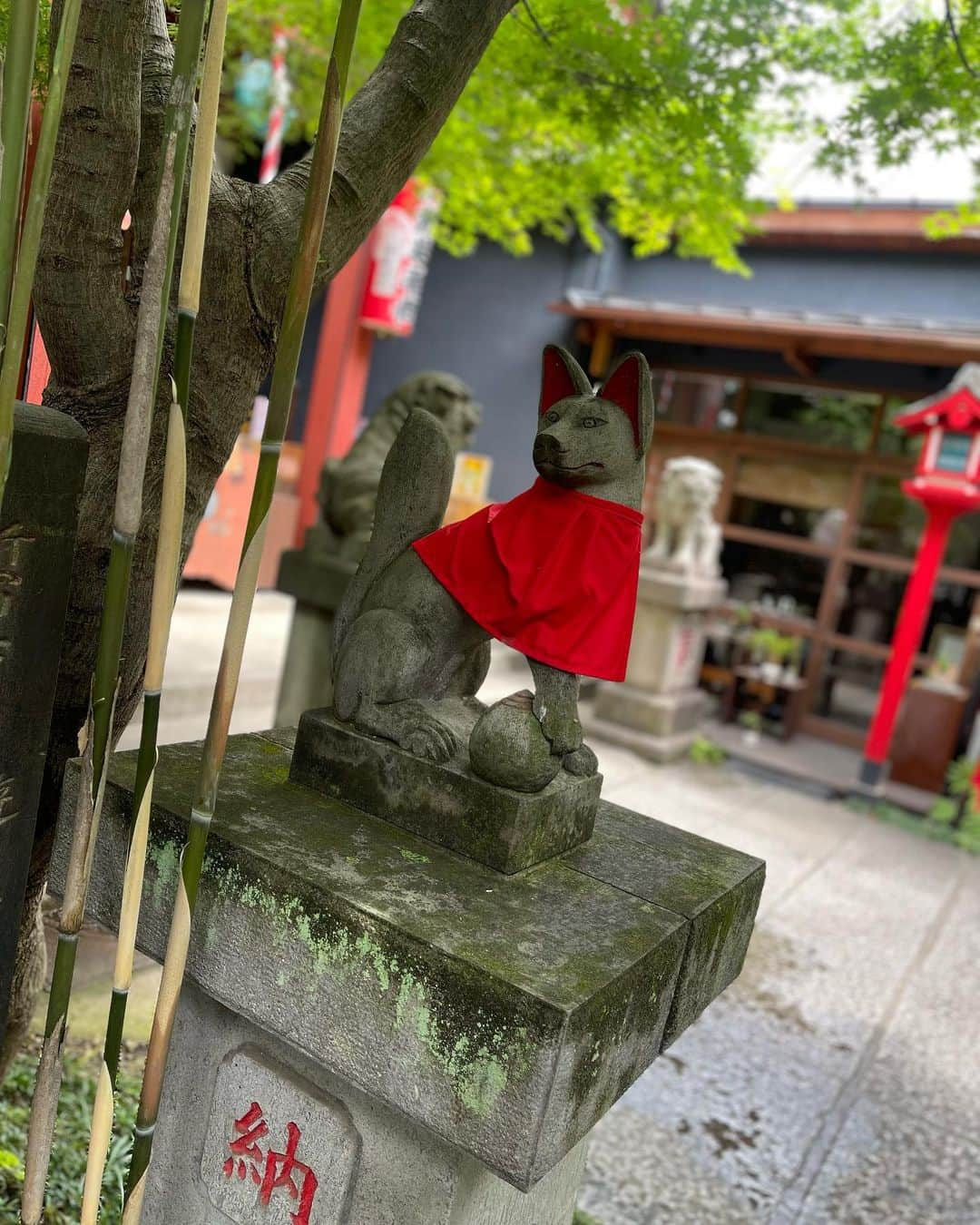 植田麻友美さんのインスタグラム写真 - (植田麻友美Instagram)「東京大神宮 と 陽雲寺  へお礼参りに🍀  最近は手水舎も復活して、本来の参拝が出来るように🍀  手水舎は、身や心を清めるための場所だから 本当に知って欲しい🍀   #東京大神宮  #陽雲寺  #手水舎  #神社仏閣   #神社巡り」6月2日 22時37分 - ue_mayutaro