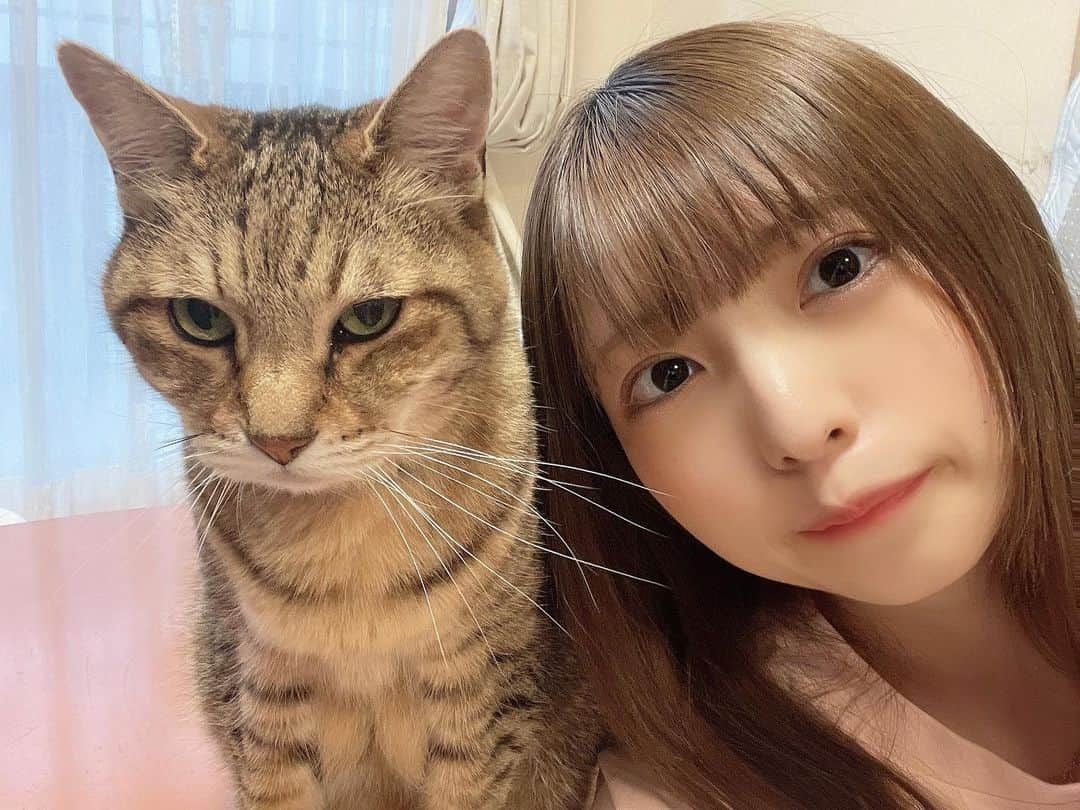 櫻井もえさんのインスタグラム写真 - (櫻井もえInstagram)「.  😺🤍  .」6月2日 23時35分 - mooochan46