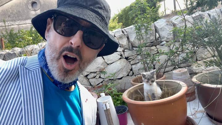 アラン・カミングのインスタグラム：「The very rare Sicilian kitten plant!」