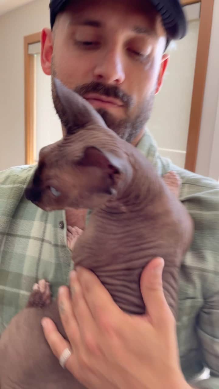 デレック・テラーのインスタグラム：「The Wheeler boys got a strange pet! Look at this little Bambino!   Thanks @jeanluc for cuddle techniques, and the awesome weekend! #cat #bambino #sphynxcat」