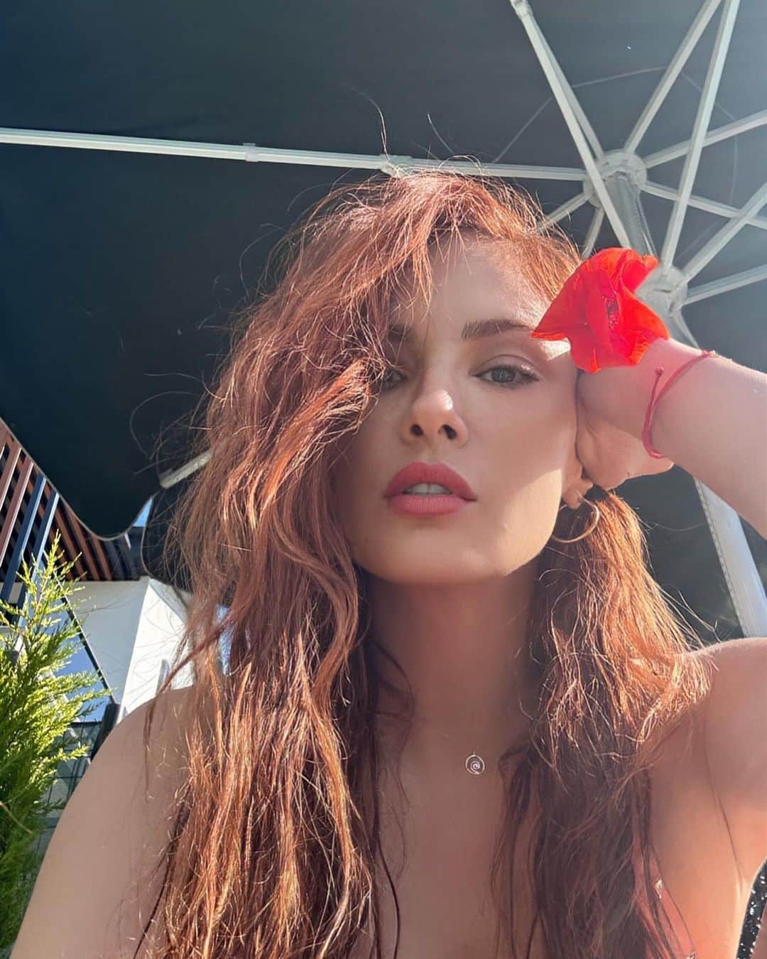 Mine Tugayのインスタグラム：「Gelincik♥️」