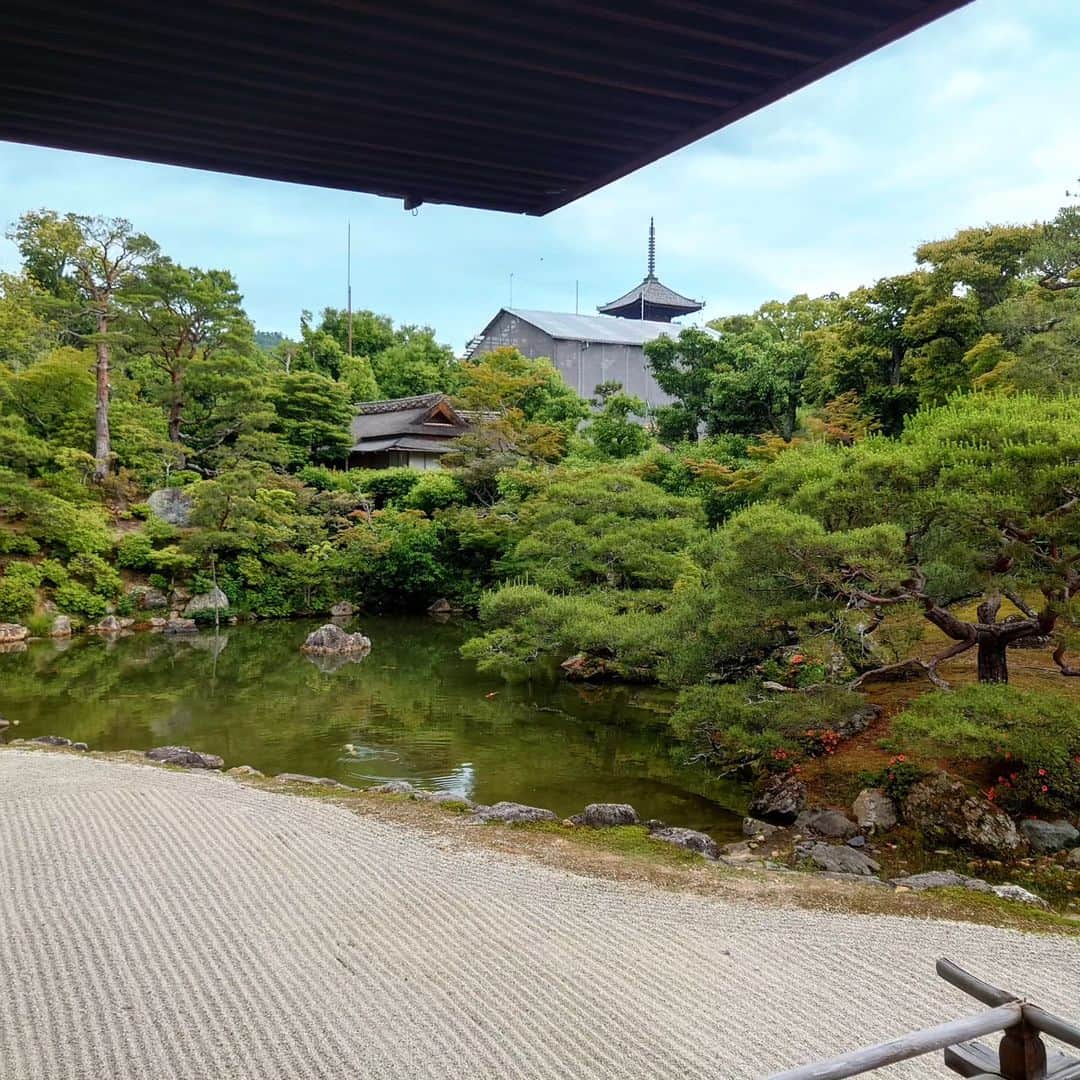 吉岡奈々子さんのインスタグラム写真 - (吉岡奈々子Instagram)「翌日も朝から・・・#京都 #ちなみにお仕事でした #この3日で10年分階段上り下りしました #今度はゆっくり行きたいです」6月3日 2時08分 - nanakoyoshioka