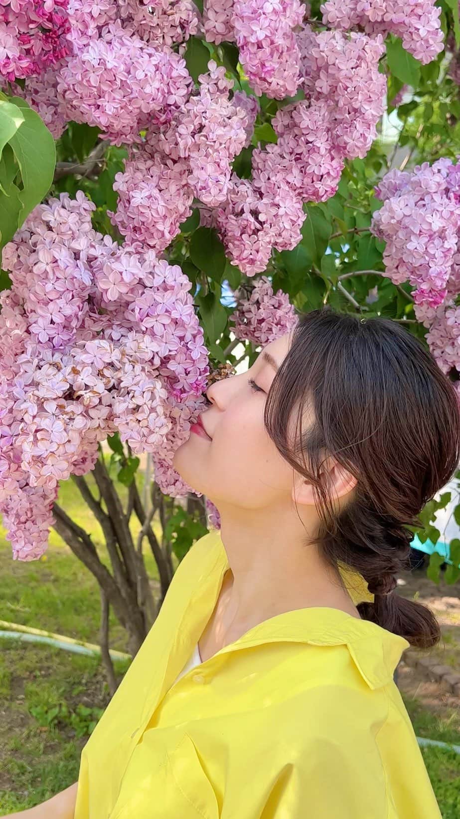 のインスタグラム：「📍Odori Park, Hokkaido🇯🇵     大通公園のライラックと😚💖  「埼玉から北海道に来てよかったなぁ」と思うことの一つが この綺麗なお花、ライラックを知れたこと☺️  あまーい香りで癒されます🫶🏻                          #hbc #北海道放送 #hbcテレビ #アナウンサー #大竹彩加 #ミディアム #セミロング #かきあげ前髪 #編みおろし #ヘアアレンジ #骨格ウェーブ #オーバーサイズシャツ #アナウンサー衣装 #衣装 #ブルベ夏 #イエベ春 #顔タイプフレッシュ #北海道 #北海道旅行 #北海道観光 #北海道観光スポット #札幌 #札幌観光 #大通公園 #ライラック #初夏の花 #散歩 #写真好きな人と繋がりたい #lovers_nippon #日常に彩りを加える日記」