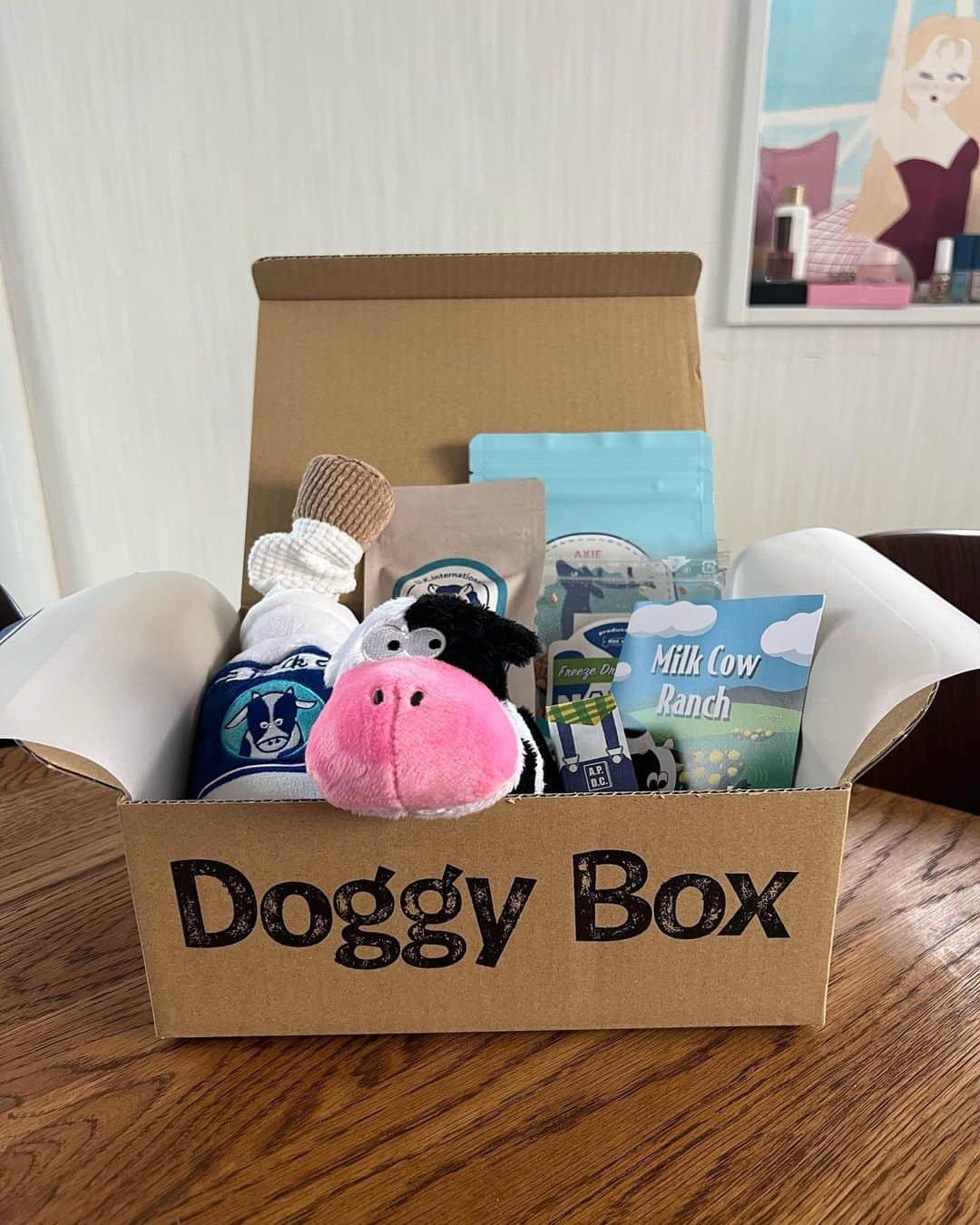 山田菜々さんのインスタグラム写真 - (山田菜々Instagram)「今月の @doggybox_jp 📦  毎月新しいおもちゃとおやつ🍭 今月は虫除けスプレーも✨  こまちは中身が気になって写真撮るの大変でした🥹 ゆきちはずーっと待てができるお利口なの🫰✨笑  今月もいっぱいあそぼうね〜♡ 喜ぶ顔がみれて嬉しい🤭！  #doggybox #ドギボ #PR」5月19日 18時10分 - tannana.yamada