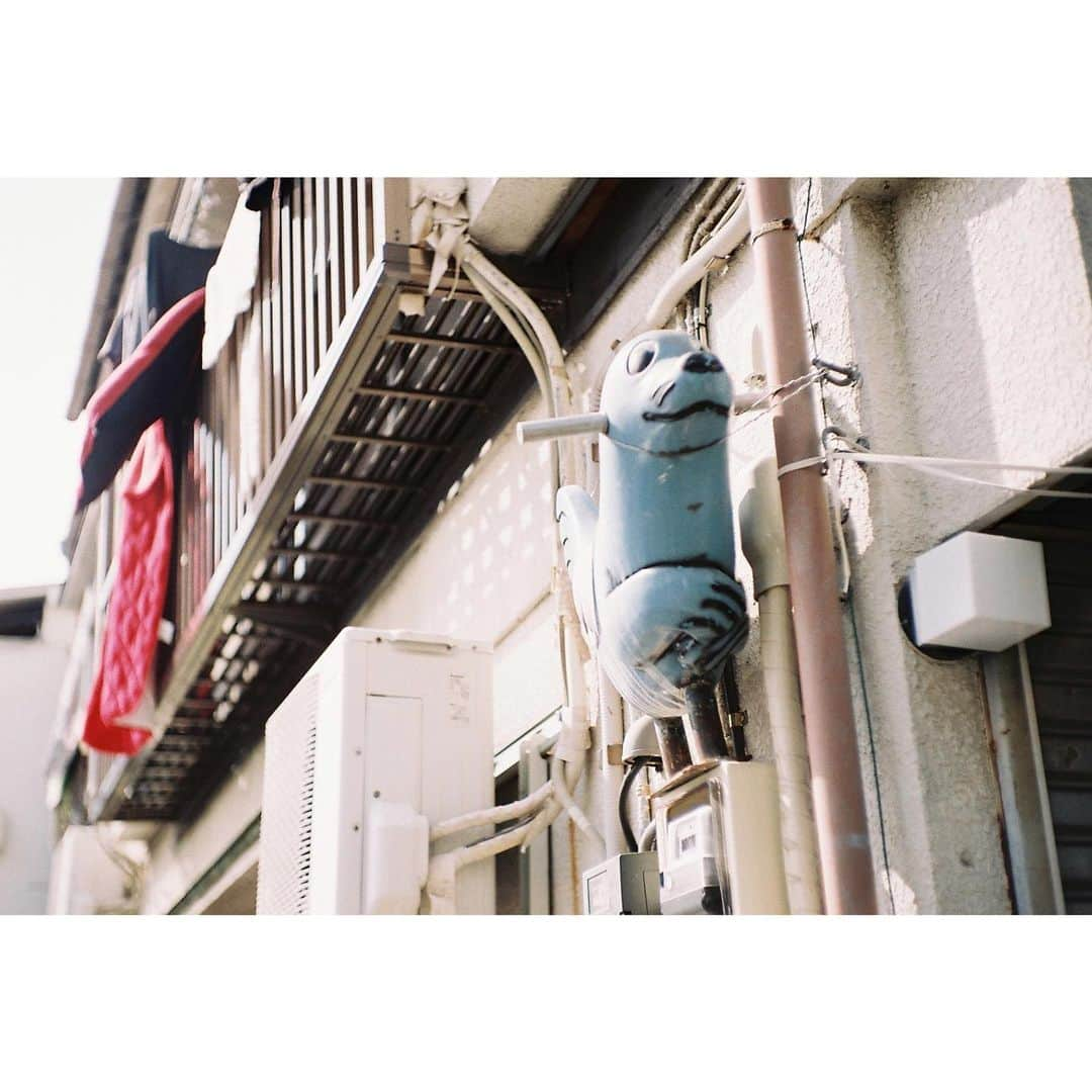 橋本淳さんのインスタグラム写真 - (橋本淳Instagram)「🦭#filmphotography #NikonS2 . シス・カンパニー公演 「いつぞやは」  ▼東京公演 2023年8月26日(土)〜10月1日(日) …シアタートラム ▼大阪公演 2023年10月4日(水)〜10月9日(月•祝) …森ノ宮ピロティホール   ■作・演出■ #加藤拓也  ■出演■ #窪田正孝 #橋本淳 #夏帆 #今井隆文 #豊田エリー #鈴木杏   ■スタッフ■ 美術・・・山本貴愛 照明・・・吉本有輝子 音響・・・井上正弘 衣装・・・伊賀大介 ヘアメイク・・・奥山信次 舞台監督・・・幸光順平 プロデューサー・・北村明子  #いつぞやは #シスカンパニー @siscompany_stage」5月19日 18時11分 - atsushi_hashimoto_official