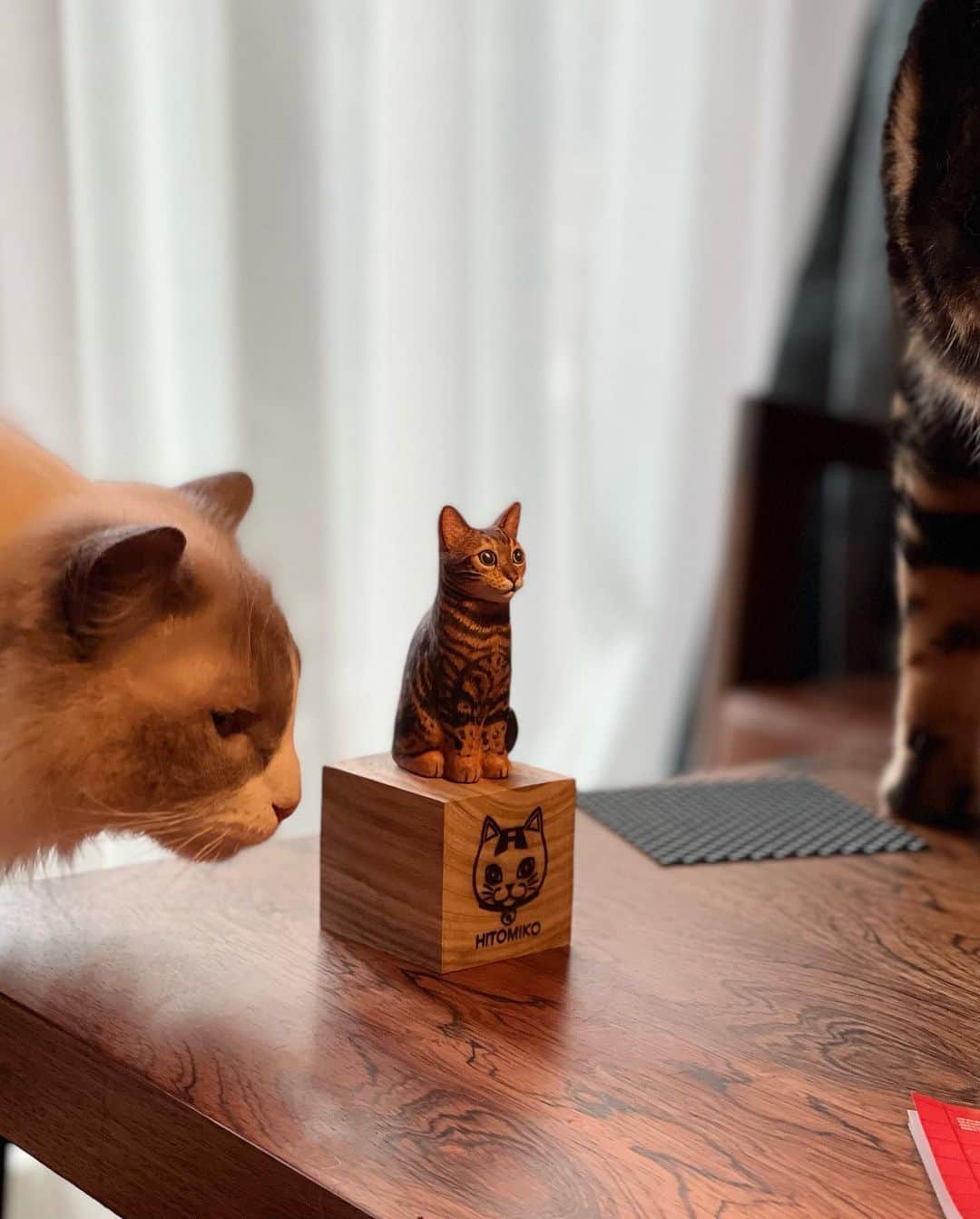 三浦瑠麗さんのインスタグラム写真 - (三浦瑠麗Instagram)「猫作家のHITOMIKOさん @hitomikoart になんとレオくんの彫刻（ちびーズ）を作っていただきました！ インスタの作品を拝見して素敵だなぁと思っていましたが、レオくんのミニチュアがわが家にやってくるなんて。ほんとうに、かわいいです。 ありがとうございます。 早速二匹はくんくんしていました。」5月19日 18時13分 - lullymiura