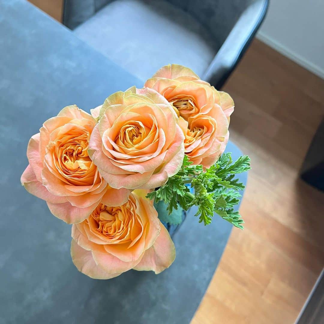 橋本聖子さんのインスタグラム写真 - (橋本聖子Instagram)「今月の #バラ定期便　💐 @moafura_official  5月は、「スピキュール＋ゼラニューム🌿」が届きました！  毎月いろんなバラが届く #バラサブスク🌹 こんなにもいろんな種類のバラがあるんだなと勉強になります✍️  オレンジの色も素敵で香りも癒される〜。お気に入りの花瓶たちに入れて飾ったよ💗  #moafura  #モアフラ #お花の定期便 #お花のある暮らし #バラ花束  #バラギフト」5月19日 18時21分 - _seikohashimoto