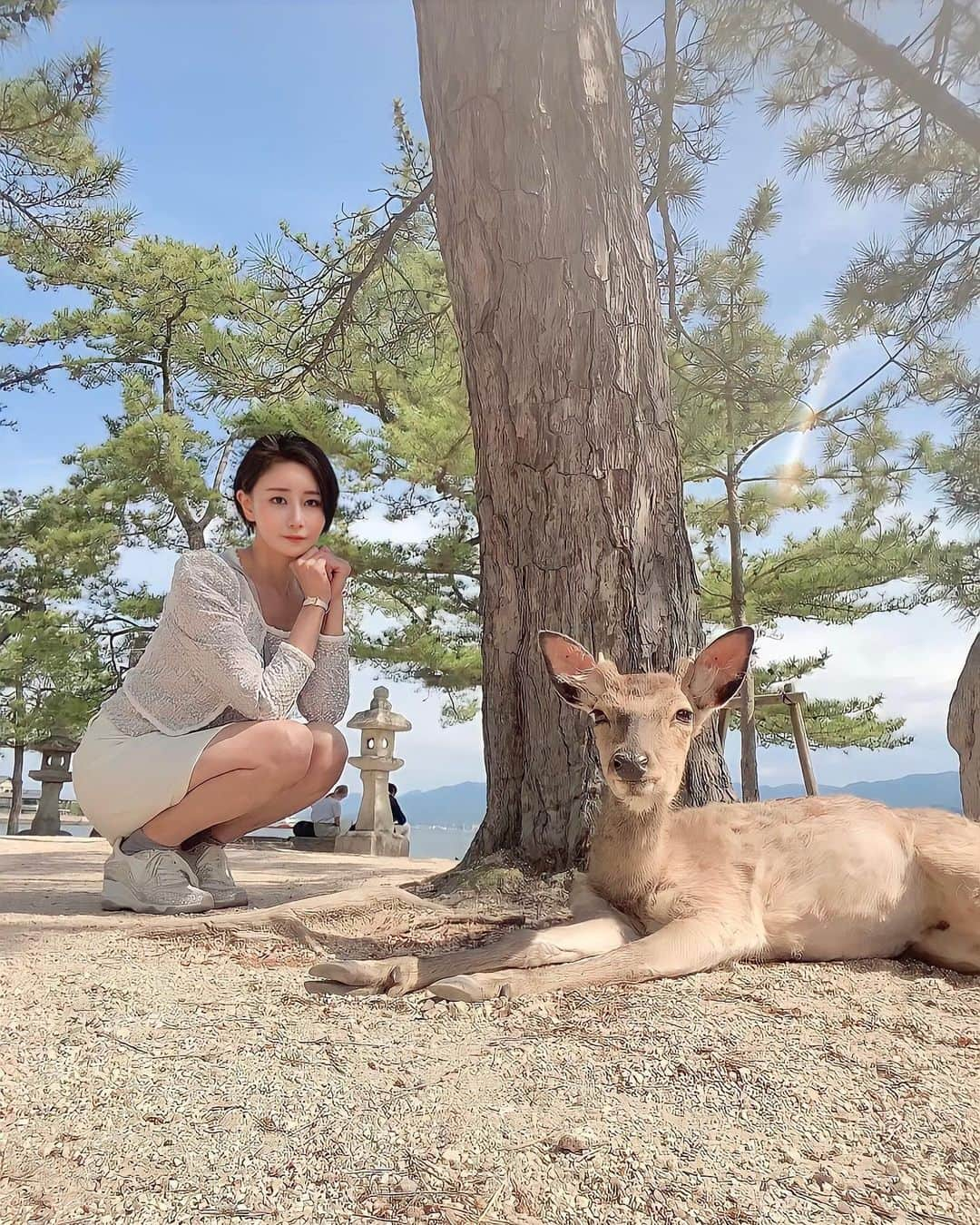 明里ともかのインスタグラム：「野生を忘れた鹿と、現実を忘れた私と。 ・ 厳島神社では、開運のお守りをゲット。豊臣秀吉にちなんだカラーにしました🙏✨ ・ ・ ・ #宮島 #厳島神社 #鹿  #広島 #いい日旅立ち」