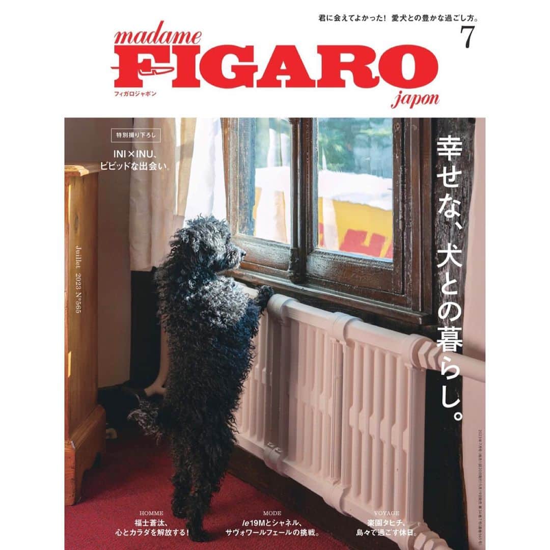 佐川理佳さんのインスタグラム写真 - (佐川理佳Instagram)「FIGARO début❤️ @madamefigarojapon   “幸せな、犬との暮らし。”  本当に、毎日幸せをありがとう❤️ あなたと出会って、仕事しかしてなかったみたいな私の人生がとっても豊かなものになりました❤️」5月19日 18時54分 - rikasagawa