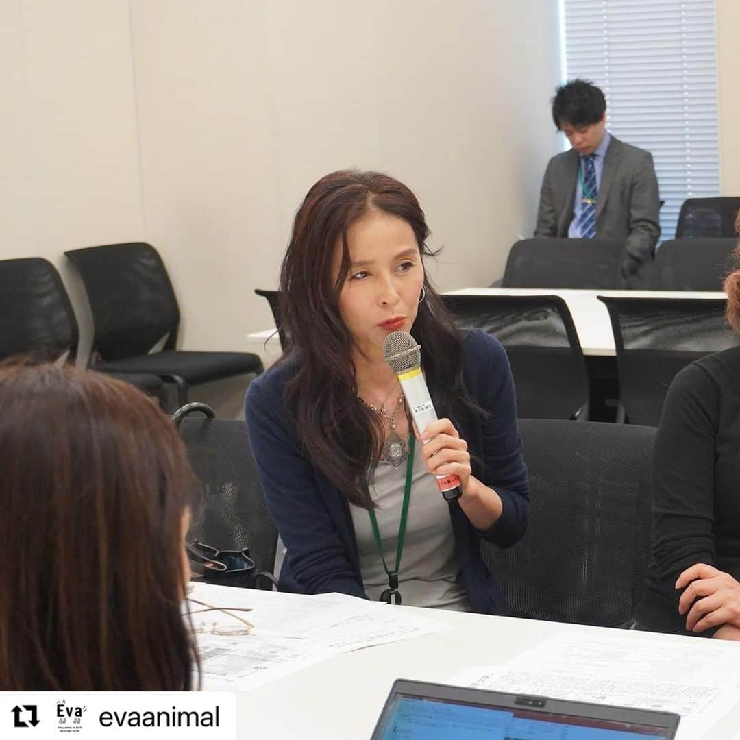 杉本彩さんのインスタグラム写真 - (杉本彩Instagram)「#Repost @evaanimal with @use.repost ・・・ 5月15日(月)第12回動物愛護法PTに参加致しました。  今回は、次期法改正に向けた改正テーマについての意見交換が中心となりました。  次期法改正で必ず行いたいとの要望が多かったものが「所有権の一時停止・喪失（はく奪）」「緊急一時保護」でした。  虐待をしている飼い主や事業者から速やかに動物を保護するためにはこの2つが必要不可欠であり、現場では常に障壁になっている為、現実に即した改正が必要である、という事は皆さん一致した見解でした。  他にも、第一種動物取扱業者の許可制、また現状、無法状態である第二種の問題、畜産動物、実験動物について、対象動物種の拡大など様々な課題が上げられました。  詳しくは、活動報告のページをご覧ください。  ■犬猫の殺処分ゼロをめざす動物愛護議員連盟 第12回動物愛護法PT 出席 https://www.eva.or.jp/2023action  #動物愛護管理法 #動物愛護法PT #法改正 #所有権の一時停止 #緊急一時保護 #動物取扱業の許可制 #幼齢動物の販売禁止 #杉本彩 #動物環境福祉協会eva」5月19日 11時03分 - sugimoto_aya0719