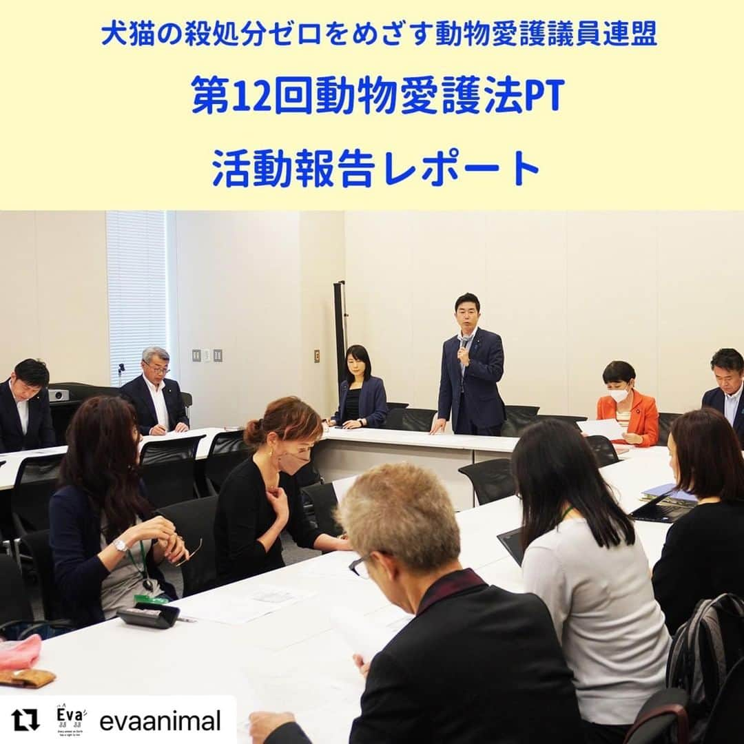 杉本彩さんのインスタグラム写真 - (杉本彩Instagram)「#Repost @evaanimal with @use.repost ・・・ 5月15日(月)第12回動物愛護法PTに参加致しました。  今回は、次期法改正に向けた改正テーマについての意見交換が中心となりました。  次期法改正で必ず行いたいとの要望が多かったものが「所有権の一時停止・喪失（はく奪）」「緊急一時保護」でした。  虐待をしている飼い主や事業者から速やかに動物を保護するためにはこの2つが必要不可欠であり、現場では常に障壁になっている為、現実に即した改正が必要である、という事は皆さん一致した見解でした。  他にも、第一種動物取扱業者の許可制、また現状、無法状態である第二種の問題、畜産動物、実験動物について、対象動物種の拡大など様々な課題が上げられました。  詳しくは、活動報告のページをご覧ください。  ■犬猫の殺処分ゼロをめざす動物愛護議員連盟 第12回動物愛護法PT 出席 https://www.eva.or.jp/2023action  #動物愛護管理法 #動物愛護法PT #法改正 #所有権の一時停止 #緊急一時保護 #動物取扱業の許可制 #幼齢動物の販売禁止 #杉本彩 #動物環境福祉協会eva」5月19日 11時03分 - sugimoto_aya0719