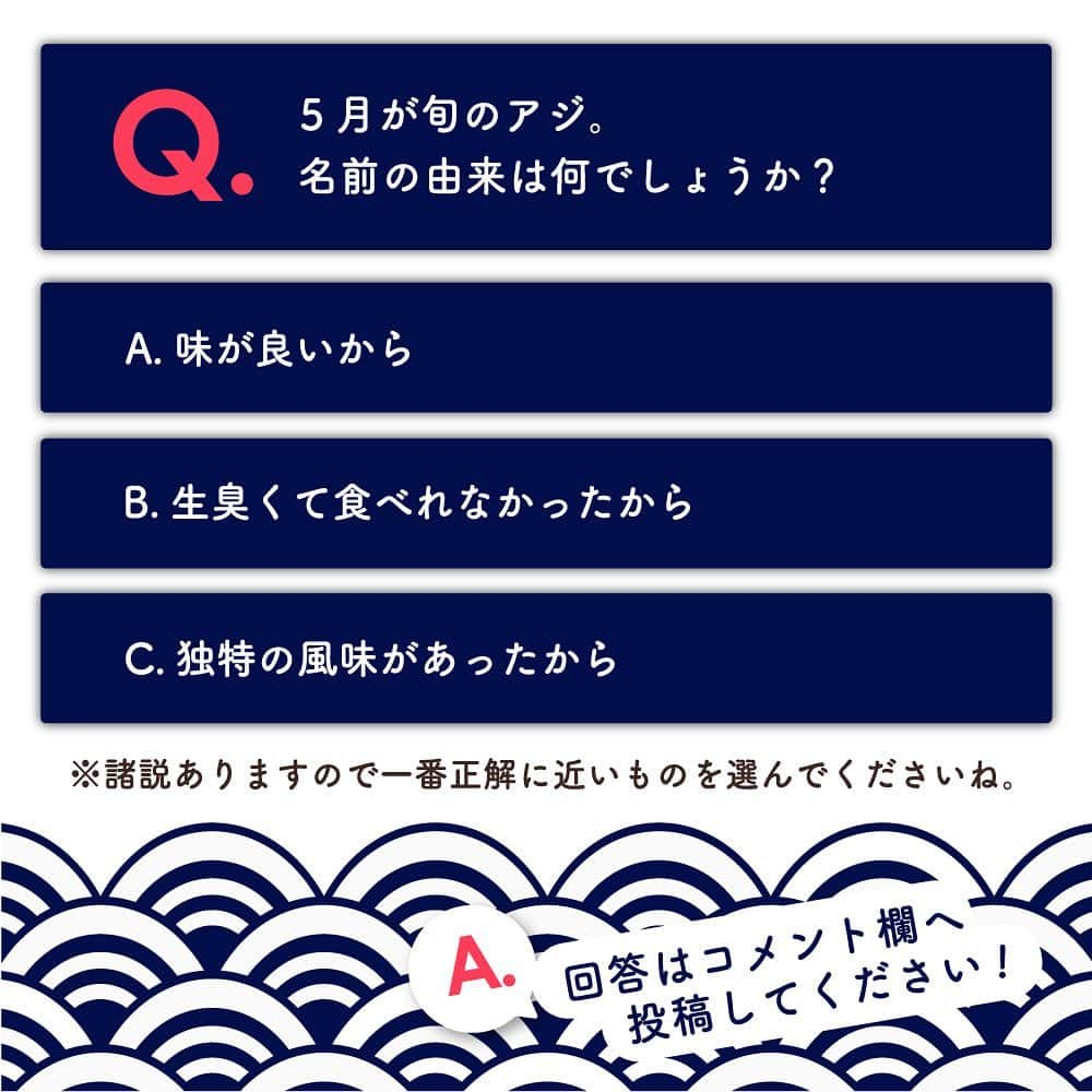 woodypuddyさんのインスタグラム写真 - (woodypuddyInstagram)「食育クイズ5月のテーマは旬のお魚「アジ」🐟   ウッディプッディの昔からの人気おままごとを、なんと３名様にプレゼントいたします✨ ・ ・ ・ アジは季節によって住む場所を変え日本を北から南へと大移動します。 通年で収穫されますが、一番おいしいとされるのは５月～８月。   特に夏はアミノ酸とビタミンBがたっぷり✨ 旨味が多くなり、夏バテ予防にもおすすめです。 塩焼き・お刺身・干物・煮付けや南蛮漬けと幅広い調理方法で味わっていただけます。   ウッディプッディのアジも3枚おろしにできるので、ぜひおままごとの1品としてお楽しみくださいね🐟   −−−−−−−−−−−−−−−−−−−−−−−−−−−−−  【クイズ参加方法】 1.当店のアカウントをフォロー 2.この投稿に「いいね」 3.この投稿のコメント欄に回答を記入 ※回答は選択肢のアルファベットだけでもOK！ 4.完了！  【⚠️ご注意ください⚠️】 当選連絡はインスタのDMで行います。 当選連絡時に参加資格を満たしていない方、 受信ができない方、受け取ってもご返信が ない方は、大変申し訳ございませんが当選の 対象外となってしまいますのでご注意ください。  みなさまのご参加をお待ちしております！  −−−−−−−−−−−−−−−−−−−−−−−−−−−−−  #woodypuddy #ウッディプッディ #木のある暮らし #子供のいる暮らし #おうちあそび #おうち遊び #お家遊び #室内遊び　 #playhouse #木のおもちゃ #おままごと #ままごと #おうちモンテ #料理男子 #japanesefood #horsemackerel #鯵 #アジ #食育 #食育クイズ #foodeducation #クリスマス #クリスマスプレゼント #おもちゃ #3歳 #プレゼント企画 #プレゼント企画🎁 #プレゼントキャンペーン実施中 #プレゼントキャンペーン実施中🎁」5月19日 11時45分 - woodypuddy.japan