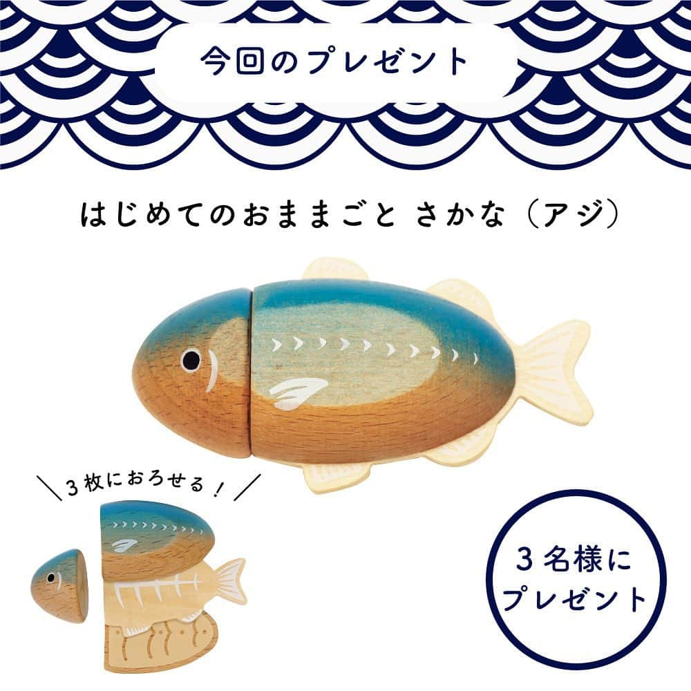 woodypuddyさんのインスタグラム写真 - (woodypuddyInstagram)「食育クイズ5月のテーマは旬のお魚「アジ」🐟   ウッディプッディの昔からの人気おままごとを、なんと３名様にプレゼントいたします✨ ・ ・ ・ アジは季節によって住む場所を変え日本を北から南へと大移動します。 通年で収穫されますが、一番おいしいとされるのは５月～８月。   特に夏はアミノ酸とビタミンBがたっぷり✨ 旨味が多くなり、夏バテ予防にもおすすめです。 塩焼き・お刺身・干物・煮付けや南蛮漬けと幅広い調理方法で味わっていただけます。   ウッディプッディのアジも3枚おろしにできるので、ぜひおままごとの1品としてお楽しみくださいね🐟   −−−−−−−−−−−−−−−−−−−−−−−−−−−−−  【クイズ参加方法】 1.当店のアカウントをフォロー 2.この投稿に「いいね」 3.この投稿のコメント欄に回答を記入 ※回答は選択肢のアルファベットだけでもOK！ 4.完了！  【⚠️ご注意ください⚠️】 当選連絡はインスタのDMで行います。 当選連絡時に参加資格を満たしていない方、 受信ができない方、受け取ってもご返信が ない方は、大変申し訳ございませんが当選の 対象外となってしまいますのでご注意ください。  みなさまのご参加をお待ちしております！  −−−−−−−−−−−−−−−−−−−−−−−−−−−−−  #woodypuddy #ウッディプッディ #木のある暮らし #子供のいる暮らし #おうちあそび #おうち遊び #お家遊び #室内遊び　 #playhouse #木のおもちゃ #おままごと #ままごと #おうちモンテ #料理男子 #japanesefood #horsemackerel #鯵 #アジ #食育 #食育クイズ #foodeducation #クリスマス #クリスマスプレゼント #おもちゃ #3歳 #プレゼント企画 #プレゼント企画🎁 #プレゼントキャンペーン実施中 #プレゼントキャンペーン実施中🎁」5月19日 11時45分 - woodypuddy.japan