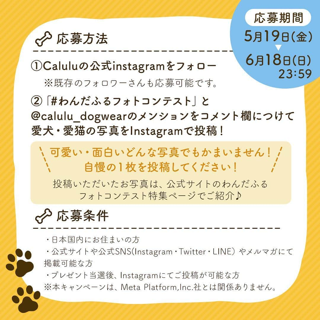 Caluluさんのインスタグラム写真 - (CaluluInstagram)「Calulu初のわんだふるフォトコンテストを開催💝  愛犬・愛猫の写真をInstagramで投稿して、豪華賞品をゲット🎁✨  ＼可愛い・面白いどんな写真でもかまいません！自慢の１枚を投稿してください！／  下記のご応募方法で、ご投稿していただいたお写真は、カルル公式サイトのわんだふるフォトコンテストページにてご紹介🌻  カルルの公式SNSにもご登場するかも！？  とても簡単に参加できます🐾  🎀プレゼント内容 抽選で合計46名様にプレゼント💐 ●わんだふる賞　6名様 ∟ベッドとキャリートートのセット （※デザインやカラーはお選びいただけません。） ●オシャレ賞　10名様 ∟ハーネス&リードのセット （※デザインやカラーはお選びいただけません。） ●スマイル賞　10名様 ∟ドッグシャツ （※ドッグシャツの中からお好きな1枚デザイン・カラー選択可能です。） ●特別賞　20名様 ∟Caluluオンラインショップで使える1000円分のポイントプレゼント！ （※ポイントの受取りには無料会員登録が必要です。）  🟣キャンペーン応募期間 5月19日(金)12:00〜6月18日(日)23:59まで  🟣応募方法 ①Calulu公式アカウント(@calulu_dogwear )をフォロー 。 ※既存フォロワーさんも応募可能です！ ②ハッシュタグ「#わんだふるフォトコンテスト」と@calulu_dogwearのメンションをコメント欄につけて 、ご自身のInstagramにて愛犬・愛猫のお写真投稿！  可愛い・面白いどんな写真でも🐶😻 過去に撮影した画像でも大丈夫ですよ♪  🟣応募条件 ・日本国内にお住まいの方 ・公式サイトや公式SNS(Instagram・Twitter・LINE）やメルマガにて掲載可能な方 ・プレゼント当選後、Instagramにてご投稿が可能な方  ※本キャンペーンは、Meta Platform,Inc.社とは関係ありません。  🟣投稿画像の取り扱い 応募いただいた投稿はカルル公式サイトのわんだふるフォトコンテストページ内にて随時公開いたします。 ページ内でのご紹介はプレゼントの当選とは関係がありませんのであらかじめご了承ください。 https://www.calulu-dogwear.jp/user_data/wonderful_photocontest  🟣応募規約 ・本キャンペーンは株式会社トレードワークスが主催しています。 ・本キャンペーンへの応募は、利用規約および以下の注意事項について、ご理解、ご同意いただいていることを条件といたします。 なお、本キャンペーンにご応募いただいた方は、ご応募いただいた時点で、以下の注意事項について、ご同意いただいたものとみなします。 ・本キャンペーンは、予告なく中止または内容が変更となる場合がございますので、あらかじめご了承ください。 ・応募状況および抽選結果に関するお問い合わせにはお答えしかねます。 ・本キャンペーン当選商品のご交換や返品などはいたしかねます。 ・住所/転居先不明または長期不在などにより、賞品がお届けできなかった場合や賞品発送後の賞品による損害等の責任については、弊社は一切負いかねます。 ・賞品の転売は禁止いたします。転売・譲渡された賞品に関して当社は一切責任を負いかねます。  🟣当選発表 当選された方には6月21日(水)以降にメッセージにてご連絡いたします。 ※当選連絡後、3日以内にお返事がない場合は他の方に当選権が移ります。  ⚠️ご注意⚠️ ※詐欺アカウントなどにご注意ください。メッセージにて、口座番号やカード番号などをお尋ねすることはございません。 また、キャンペーン開始直後などに来るDMは詐欺アカウントの可能性がございます。  ✔︎Calulu公式アカウントはInstagram：@calulu_dogwear のみです！  皆さまの沢山の素敵なお写真をお待ちしております🐶🎈🐾  #カルル #カルルドッグウェア #calulu #calulu_dogwear #わんだふるフォトコンテスト #カルルわんこの会 #カルルにゃんこの会 #ドッグウェア #犬服 #ブランド犬服 #オシャレ犬服 #犬のお洋服 #おしゃれ犬  #プレゼント #プレゼントキャンペーン #小型犬 #中型犬 #大型犬 #猫 #わんこのいる生活  #いぬすたぐらむ #わんこ部 #いぬとおさんぽ #いぬとおでかけ #ねこのいる生活 #ねこすたぐらむ #ねこ部 #ねこと暮らす #フォトコンテスト」5月19日 11時59分 - calulu_dogwear