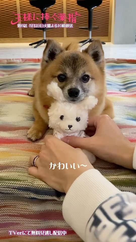 王様に捧ぐ薬指のインスタグラム