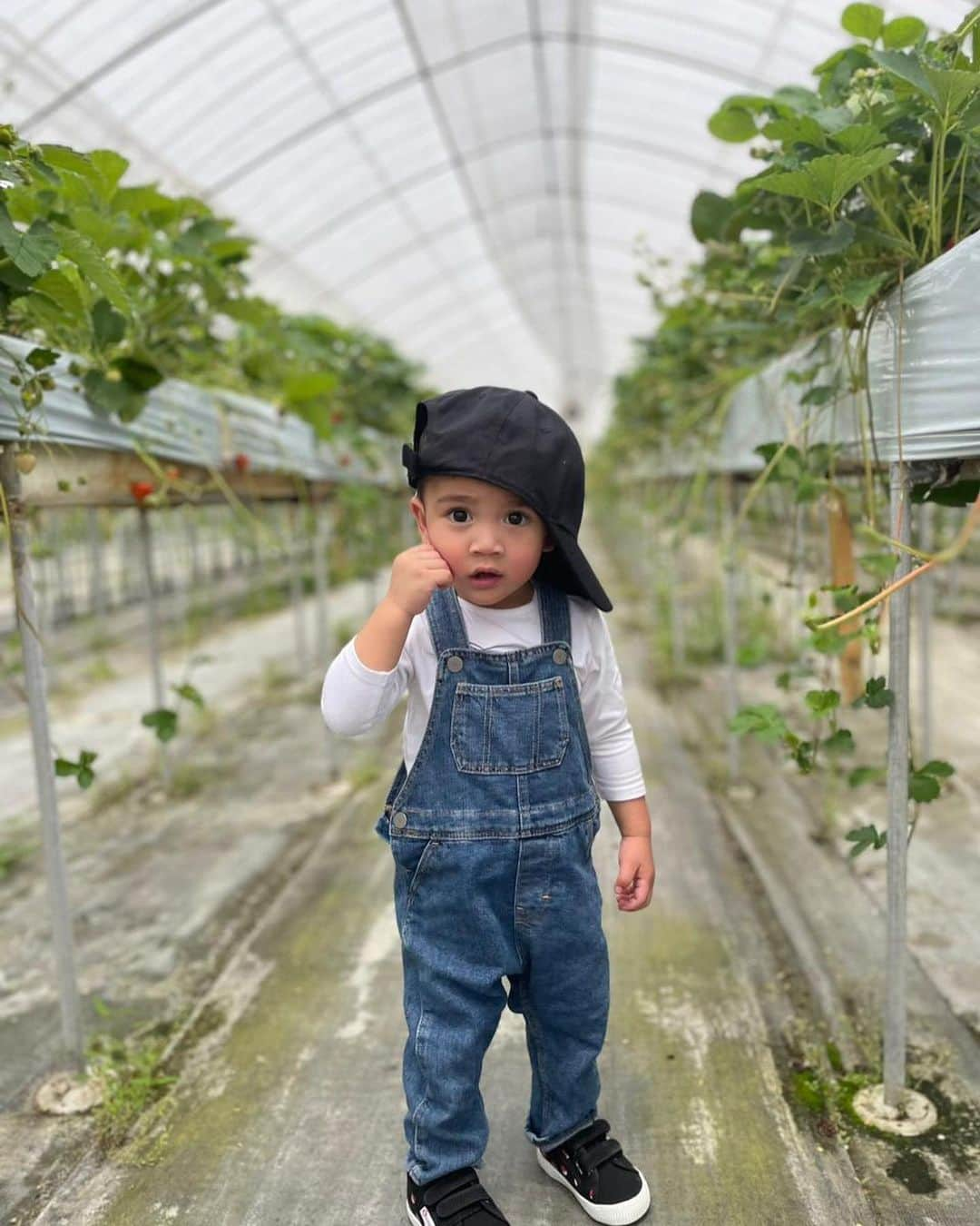 Raffi Ahmadさんのインスタグラム写真 - (Raffi AhmadInstagram)「Jadi Harvest Moon ceritanya di Jepang 🇯🇵」5月19日 13時18分 - raffinagita1717