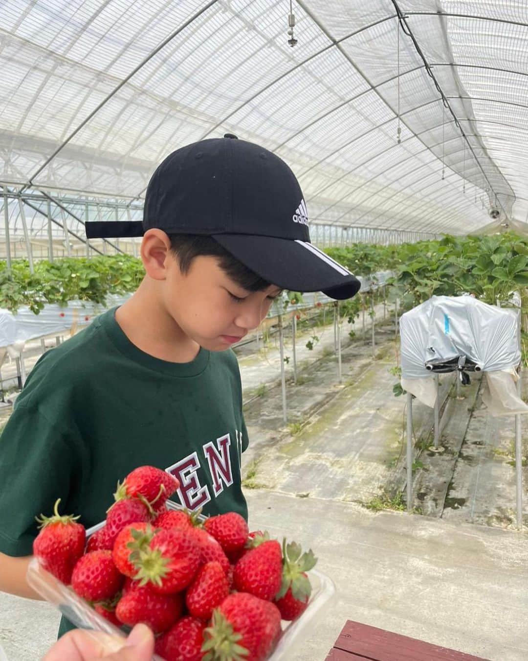 Raffi Ahmadさんのインスタグラム写真 - (Raffi AhmadInstagram)「Jadi Harvest Moon ceritanya di Jepang 🇯🇵」5月19日 13時18分 - raffinagita1717