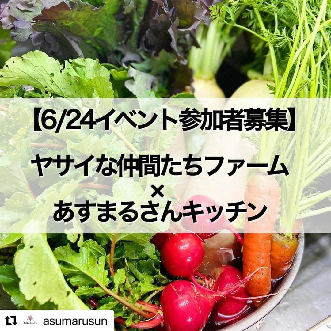 ヤミーのインスタグラム：「6/24に収穫体験&お野菜料理教室を開催します！！  あすまるさんキッチン3人で初料理イベント。 美味しくて楽しくてためになること間違いないです👍 あすまる商品の物販もありますよ。  お子さんの参加大歓迎なので、一緒に農場体験楽しみましょう♪  #Repost @asumarusun with @use.repost ・・・ 【イベント参加者募集スタート！】 ヤサイな仲間たちファーム×あすまるさんキッチン  　料理研究家ヤミー・ほりえさわこ・中元千鶴の 　　　　　　　スペシャル野菜講座 〜おいしい野菜料理教室とオリジナルディップ作り〜  本日より、参加者募集スタートです！！ 席数が少ないので、ぜひお早めにお申込みください！  主催:あすまるさんキッチン(農家のだいどこより改名) 協賛:キユーピー（株) @kewpie_official 、ヤサイな仲間たちファーム yasaina_farm   ■日時:6月24日（土） 第1部　10:00〜11:30 第2部　14:00〜15:30 （1部と2部の内容は同じです）  ■内容: ・野菜の収穫体験ツアー ・おいしい野菜料理教室4品（チキンラタトゥイユ、オクラピラフ、手割りフライドポテト、ピクルス）デモンストレーション＆試食 ・マヨネーズでオリジナルディップ作り&試食 ・お土産付き！ ※天候により、お野菜が変わることがあります。 ※ あすまるさんキッチンの商品販売も予定しています。  ■参加費: 大人3,500円、小学生2,000円、未就学児は無料（収穫体験参加の場合500円） ※小学生以下のお子様は保護者同伴でご参加ください。  ■定員:各24名（2回開催） ※先着順。満席になり次第、キャンセル待ちとなります。  ■会場:ヤサイな仲間たちファーム （埼玉県深谷市黒田字上坂54）  ■申し込み方法： 申し込みフォームに必要事項を記入して、送信してください。折り返し、参加確定のご連絡をさせていただきます。 https://forms.gle/ssNMCbQDwFPYhsh26 👉 @asumarusun プロフィールのリンクからアクセスできます！ 👉写真5枚目のQRコードからもアクセスできます！  *  「ヤサイな仲間たちファーム」は、キユーピー（株）が運営する埼玉県深谷市にある農園&レストラン。 収穫体験が出来るのはもちろん、マルシェでは農家直送の新鮮な野菜や卵、キユーピーグッズが買えます。 畑が見渡せる広くて気持ち良いレストランは、野菜たっぷりのお食事やデザートも楽しめます。 おとなりにはアウトレットやバーベキュー場、子供たちに大人気の遊具もあり、家族みんなで丸一日楽しめます。  空が広くて気持ち良い素敵な農園&レストランで、休日を一緒に美味しく楽しみましょう♪  #キユーピー #ヤサイな仲間たちファーム #キューピー　#農家のだいどこ　#あすまるさんキッチン　#コラボイベント　#野菜料理教室　#マヨネーズレシピ #収穫体験　#農園レストラン　#ひばりの卵　#ひばりの巣　#フードロス　#食品ロス　#フードロス削減　#サスティナブル　#sdgs #食育　#社会貢献　#エシカル　#料理研究家　#もったいない　#もったいないをおいしいに #ヤミー　@ym_3stepcooking #ほりえさわこ @horiehiroko.sawako #中元千鶴 @chizuru.nakamoto」