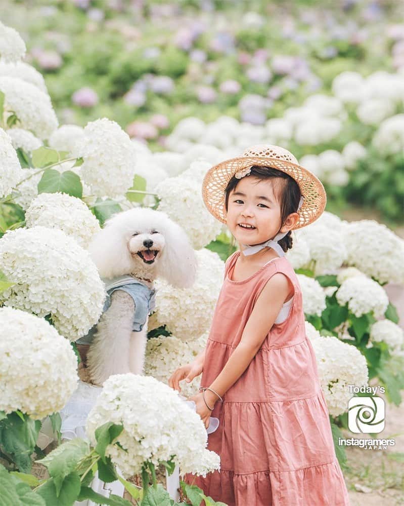 InstagramersJapanのインスタグラム：「. Today's IGersJP is out !!! @stastagramn . インスタグラムに #IGersJP タグを付けて頂いた投稿の中から @IGersJP 担当者がピックアップした作品を毎日紹介しています！ : follow us @IGersJP // valid tag #IGersJP check Facebook page InstagramersJapan : #InstagramersJapan #インスタグラマーズジャパン #日本 #japan #写真 #photo」