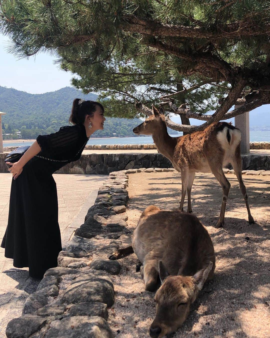 大河内美紗さんのインスタグラム写真 - (大河内美紗Instagram)「G7広島サミット開催目前の広島へ✈️宮島で日本三景達成❣️潮の満ち引きで表情が変わり時間毎で楽しめました🌊鹿ちゃん可愛すぎた🦌平和記念公園と原爆資料館へ✨世界中からたくさんの方が訪れ、歴史と向き合う姿に関心の高さを改めて感じることができました。この時期に広島でG7サミットが開催されるのは大変意味のあることで素晴らしいです🇯🇵✨開催中は島や平和記念公園は立ち入りができなくなり厳戒態勢が続きます。音楽と向き合いながら過ごせている日常に感謝し、世界の平和を心より祈るばかりです🌎🕊️ #広島 #g7 #厳島神社 #宮島 #hiroshima #民謡 #民謡旅 #平和記念公園 #japan」5月19日 14時56分 - misa_okochi