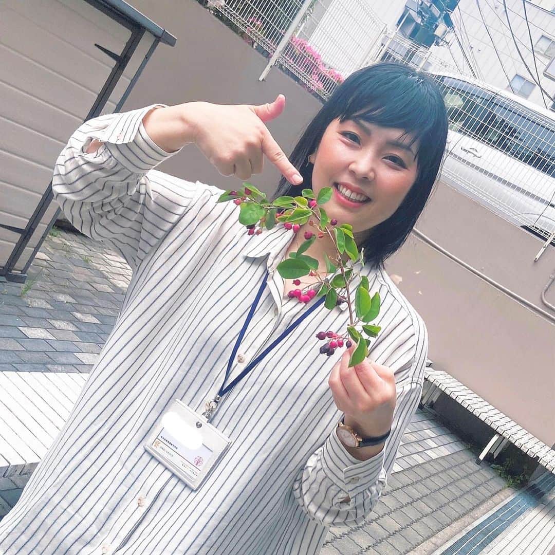 東京医薬専門学校さんのインスタグラム写真 - (東京医薬専門学校Instagram)「🫐サプライズプレゼント🎁  こんにちは、 医療事務系学科です！  ご近所の幼稚園児のみんなが 園内行事の収穫祭でとれた 食べられる木の実を プレゼントしてくれました💝  おっきな声で 『こ ん に ち は！！』  きっとみんなで練習してきて くれたんですね♪ 下の階の職員室まで はっきり声が届いてきました✊  プレゼントの木の実は赤い ブルーベリーのような見た目で おいしかったです💓 「色が濃いのがね、おいしいよ〜」 「これはねーーうすくてまずい！」 とオススメを教えてくれた おかげですね😋  雨の日に、とってもハッピーな 気持ちをありがとうございました🌈  #幼稚園 #おいしいプレゼント   #東京医薬看護専門学校 #tcm #schoollife #専門学校 #専門学生 #医療事務 #医療事務のたまご #医師事務作業補助者 #instagood」5月19日 15時05分 - tokyo_iyaku
