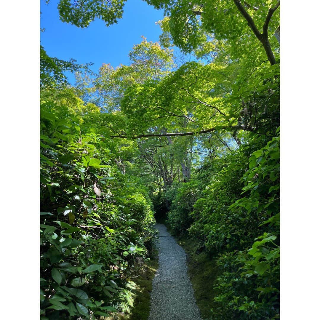 木下晴香さんのインスタグラム写真 - (木下晴香Instagram)「京都だより👘 ⁡ 先日、大河内山荘庭園に行ってきました。 ⁡ とても美しく 澄み渡った空間で、 心がスッと軽くなったことに感動していたら "大河内傳次郎という時代劇の名優が、30年の歳月にわたり、消えることのない美を求めて、こつこつと創りあげた庭園"との解説が。 ⁡ その文章を読んで、衝撃が走った感覚がありました。 美しさがこんなにも心を魅了するものだということ。 1人でこつこつと積み上げた努力が見る人の大きな感動や癒しに繋がっていること。 そしてそのこだわりよう。 私も生きていく上で大事したいなと思うものを目の前にバンっっと提示された感じがして、改めてその景色が心に沁み渡りまして🥹 ⁡ 京都に行く機会がある時は必ずここに寄りたいと思うような、運命かなと思うくらい心に響いた場所でした。 ⁡ ゆっくりと見て回って、最後に辿り着いた資料館。 ⁡ 「え…誕生日同じだ。」 大河内傳次郎さんも2月5日生まれだと知り やっぱり運命感じちゃった木下でした。 ⁡ 『藝の上手いといふも下手といふも、ほんの僅かの差である。 その差は決して技巧の差ではない。 その人の人柄からくる無技巧の差である。』 ⁡ そんな言葉を残されてるところも すごく好きです。 ⁡ 長文になっちゃった。 この場所との出会いに心から感謝します🙏 ⁡ 皆さんもよかったら行ってみてね🌿」5月19日 15時13分 - haruka_kinoshita_official