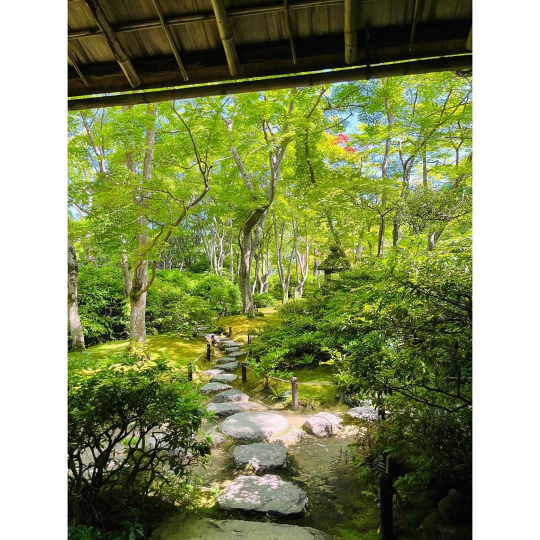 木下晴香のインスタグラム：「京都だより👘 ⁡ 先日、大河内山荘庭園に行ってきました。 ⁡ とても美しく 澄み渡った空間で、 心がスッと軽くなったことに感動していたら "大河内傳次郎という時代劇の名優が、30年の歳月にわたり、消えることのない美を求めて、こつこつと創りあげた庭園"との解説が。 ⁡ その文章を読んで、衝撃が走った感覚がありました。 美しさがこんなにも心を魅了するものだということ。 1人でこつこつと積み上げた努力が見る人の大きな感動や癒しに繋がっていること。 そしてそのこだわりよう。 私も生きていく上で大事したいなと思うものを目の前にバンっっと提示された感じがして、改めてその景色が心に沁み渡りまして🥹 ⁡ 京都に行く機会がある時は必ずここに寄りたいと思うような、運命かなと思うくらい心に響いた場所でした。 ⁡ ゆっくりと見て回って、最後に辿り着いた資料館。 ⁡ 「え…誕生日同じだ。」 大河内傳次郎さんも2月5日生まれだと知り やっぱり運命感じちゃった木下でした。 ⁡ 『藝の上手いといふも下手といふも、ほんの僅かの差である。 その差は決して技巧の差ではない。 その人の人柄からくる無技巧の差である。』 ⁡ そんな言葉を残されてるところも すごく好きです。 ⁡ 長文になっちゃった。 この場所との出会いに心から感謝します🙏 ⁡ 皆さんもよかったら行ってみてね🌿」