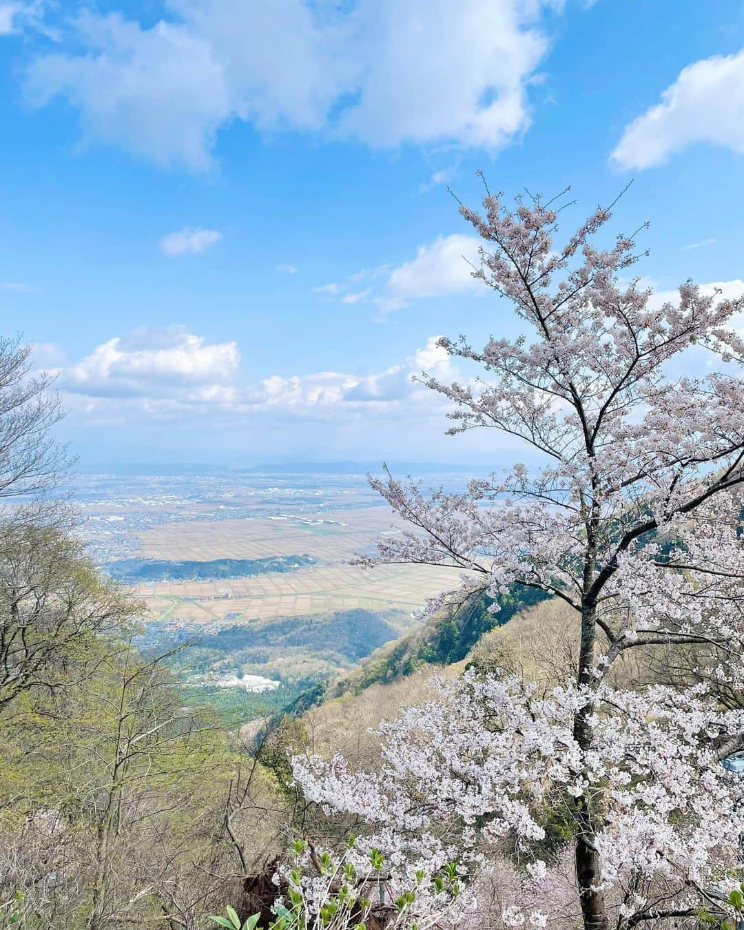 田中碧さんのインスタグラム写真 - (田中碧Instagram)「【新潟レポ再開⑤弥彦山】 ⁡ ロープウェイが楽しいのはもちろんなんだけど... ⁡ 奥宮（御神廟）からの絶景は ほんとうにほんとうにすばらしいです😭✨ 山！田んぼ！海！ そりゃ何食べてもおいしいわけだ💓 ⁡ ⁡ #新潟旅行 #新潟 #弥彦 #弥彦神社 #弥彦山 #弥彦山ロープウェイ #奥宮 #絶景 #絶景スポット #田中碧」5月20日 18時00分 - aoi.tanaka.0523