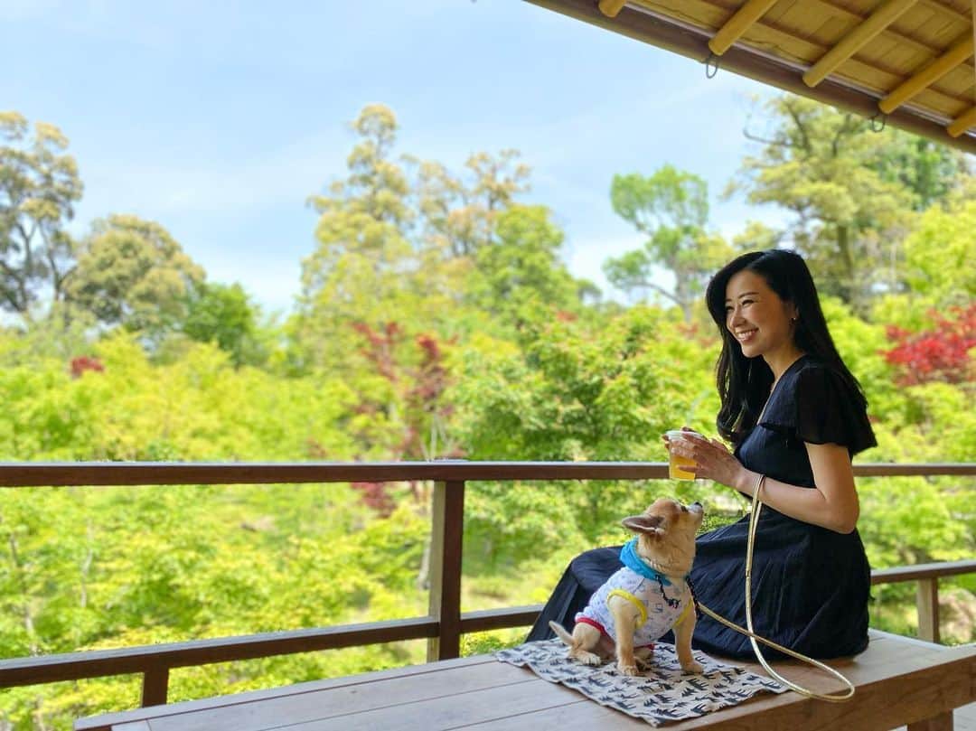 高倉絵理のグルメインスタ