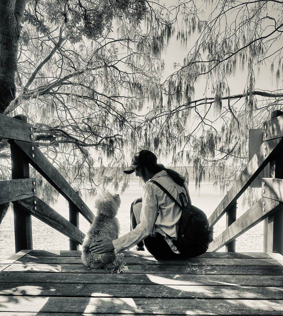 シャーニ・ヴィンソンのインスタグラム：「Just me and you @jaggerpoo 🖤🩶」