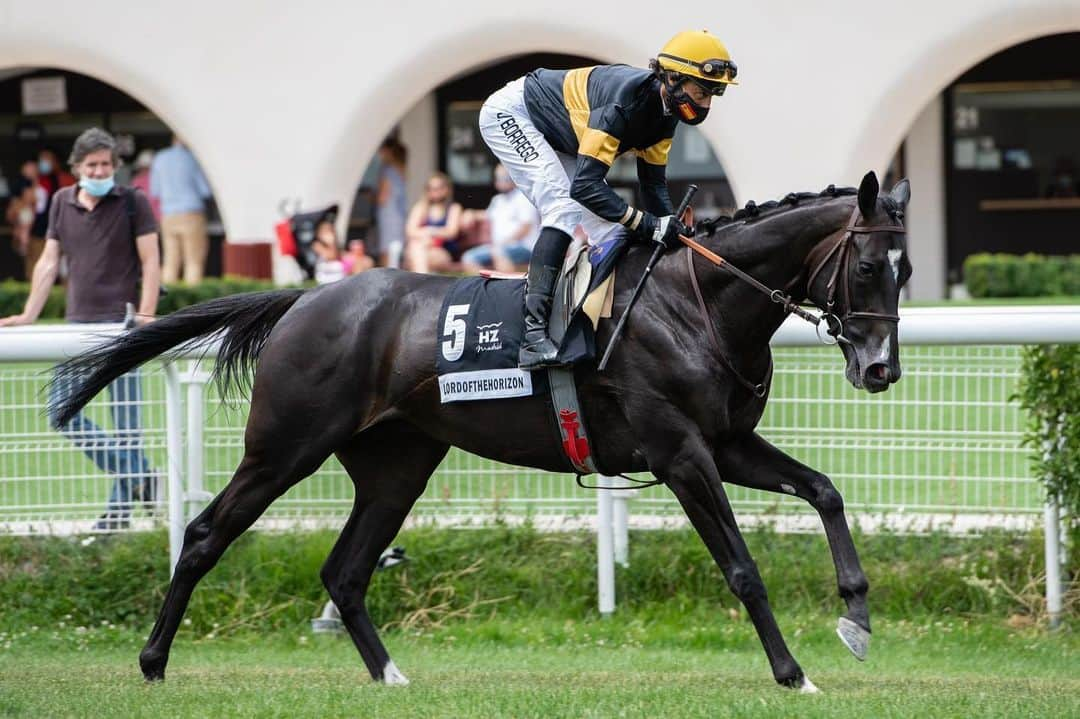 ホタのインスタグラム：「Not bad to had been our first @cuadrasantiago2019 horse 😉🖤  🥇 Grand Prix of Madrid Winner 2021」