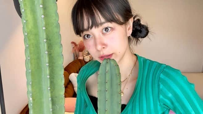 佐藤ミケーラ倭子のインスタグラム：「うちのサボテン50mまで伸びるらしいけどまだかなぁ🌵」