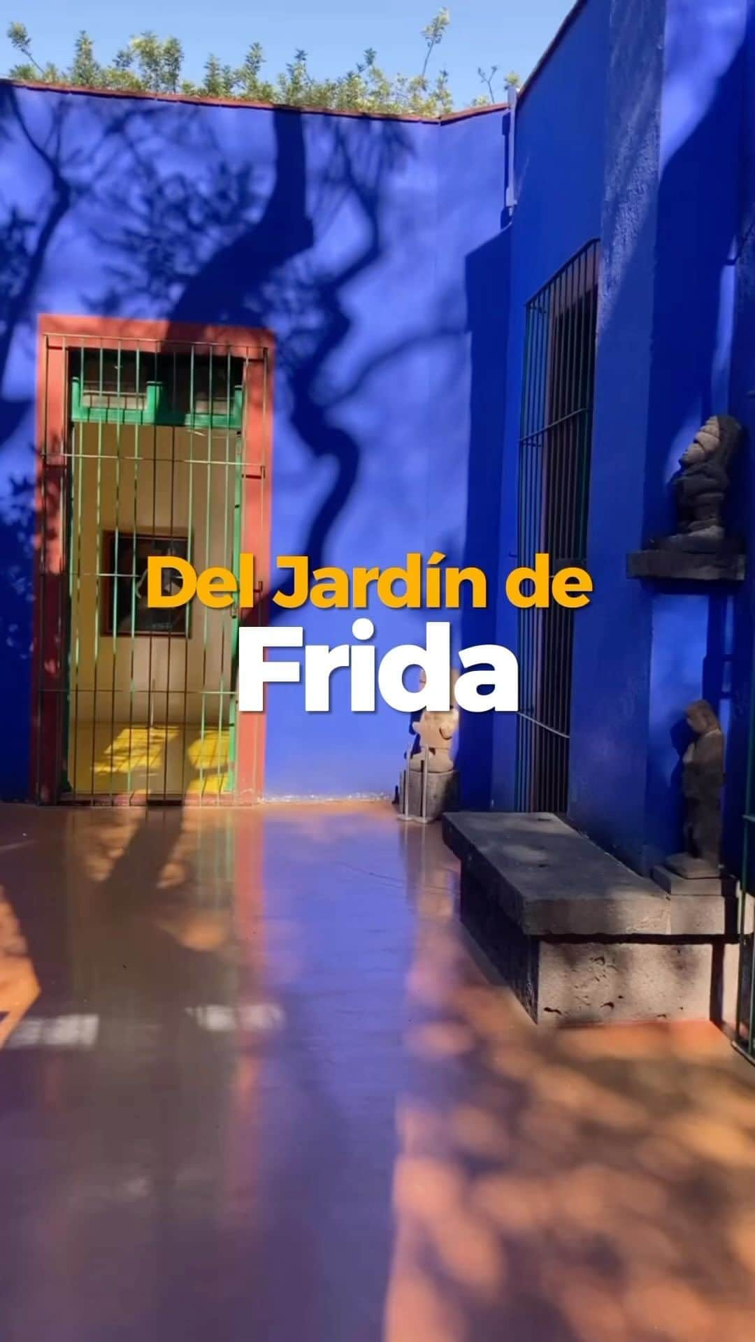 フリーダ・カーロ記念館のインスタグラム：「¡Gracias a todos quienes participaron en la Caminata del Jardín de Frida al Pedregal de Diego! Con motivo del #DíaMundialdelosMuseos, exploramos y nos maravillamos con la belleza de la #CasaAzul, y nos sumergimos en el oasis de lava espiritual de #Anahuacalli. 🌿🌺  En este viaje mediado por @neponita, descubrimos cómo estos espacios de arte y cultura contribuyen a un futuro más sostenible. 🌍 Los museos inspiran esperanza y cambio, donde podemos soñar con un mundo mejor. La convivencia durante nuestra caminata fue muy enriquecedora y reflexionamos sobre nuestra presencia en el entorno.  Caminamos, aprendimos y soñamos. Continuaremos explorando y celebrando el impacto positivo de los museos. ¡Hasta la próxima aventura!  🫀 #MuseoFridaKahlo #art #arte #ICOM @icommexico @anahuacalli #FridaKahlo 🌿 #ConoceElAnahuacalli #DiegoRivera 🇲🇽 #México #CDMX #MexicoCity 🧳 #travel #Coyoacán #Museum #Museo #MuseosCDMX #travelgram」