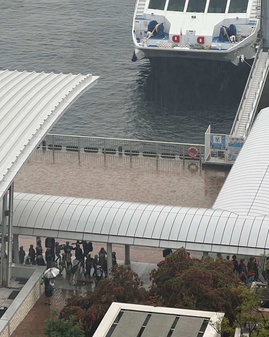 キャシー中島さんのインスタグラム写真 - (キャシー中島Instagram)「*  神戸の朝は雨☔️ なんとなく暗い感じの雨です。  それでも港の方から楽しげな声！ 修学旅行の学生達がはしゃいでいます。 船に乗るのが🚢嬉しいのでしょう、その声のおかげで、暗い空気が明るくなってきました。 サンキュー❣️  ポートタワー、早く改装が終わるといいですね！ あの綺麗な港を見たいわ❤️  今日のキルトサロンは午前と午後2クラスです。  タヒチアンキルトを作っている方、 モダンキルトのトップが終わった方、 アメリカンパッチワークのサンプラーズのトップが終わりキルティングをしている方。 クロワッサンバッグが仕上がり、サマーバッグを頑張って一緒に持ちたい方❣️ などなど、自分のペースで好きなものを作っています。 私はみんなの応援団長❣️  さあ楽しくチクチクしましょう‼️ みんなとっても上手です❤️」5月19日 21時30分 - official_kathynakajima
