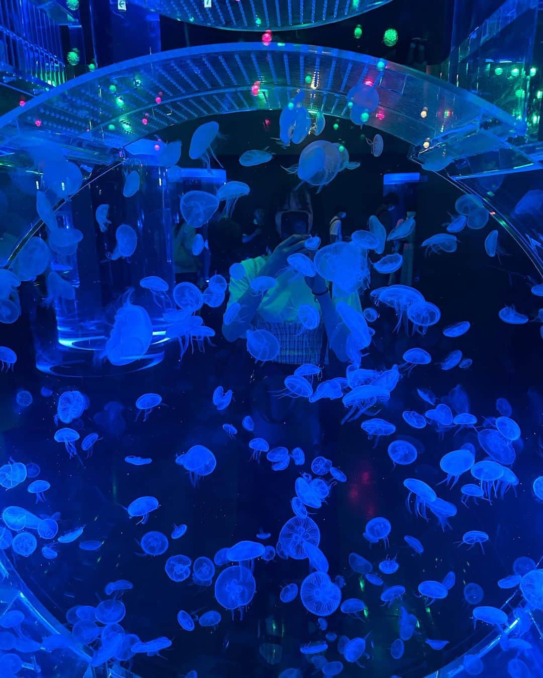 早坂梢依さんのインスタグラム写真 - (早坂梢依Instagram)「. 水族館大好き芸人 . #アクアパーク品川」5月19日 21時31分 - kozue_hayasaka