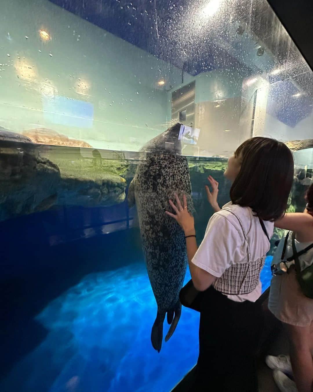 早坂梢依さんのインスタグラム写真 - (早坂梢依Instagram)「. 水族館大好き芸人 . #アクアパーク品川」5月19日 21時31分 - kozue_hayasaka