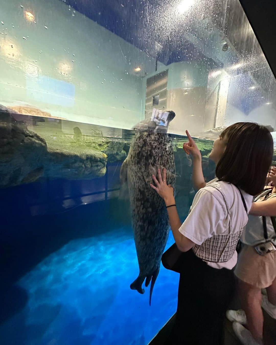 早坂梢依のインスタグラム：「. 水族館大好き芸人 . #アクアパーク品川」