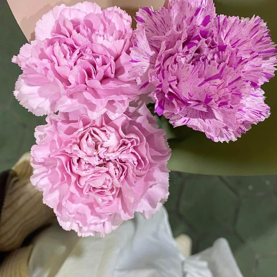 角川友紀のインスタグラム：「🌸🌸🌸」