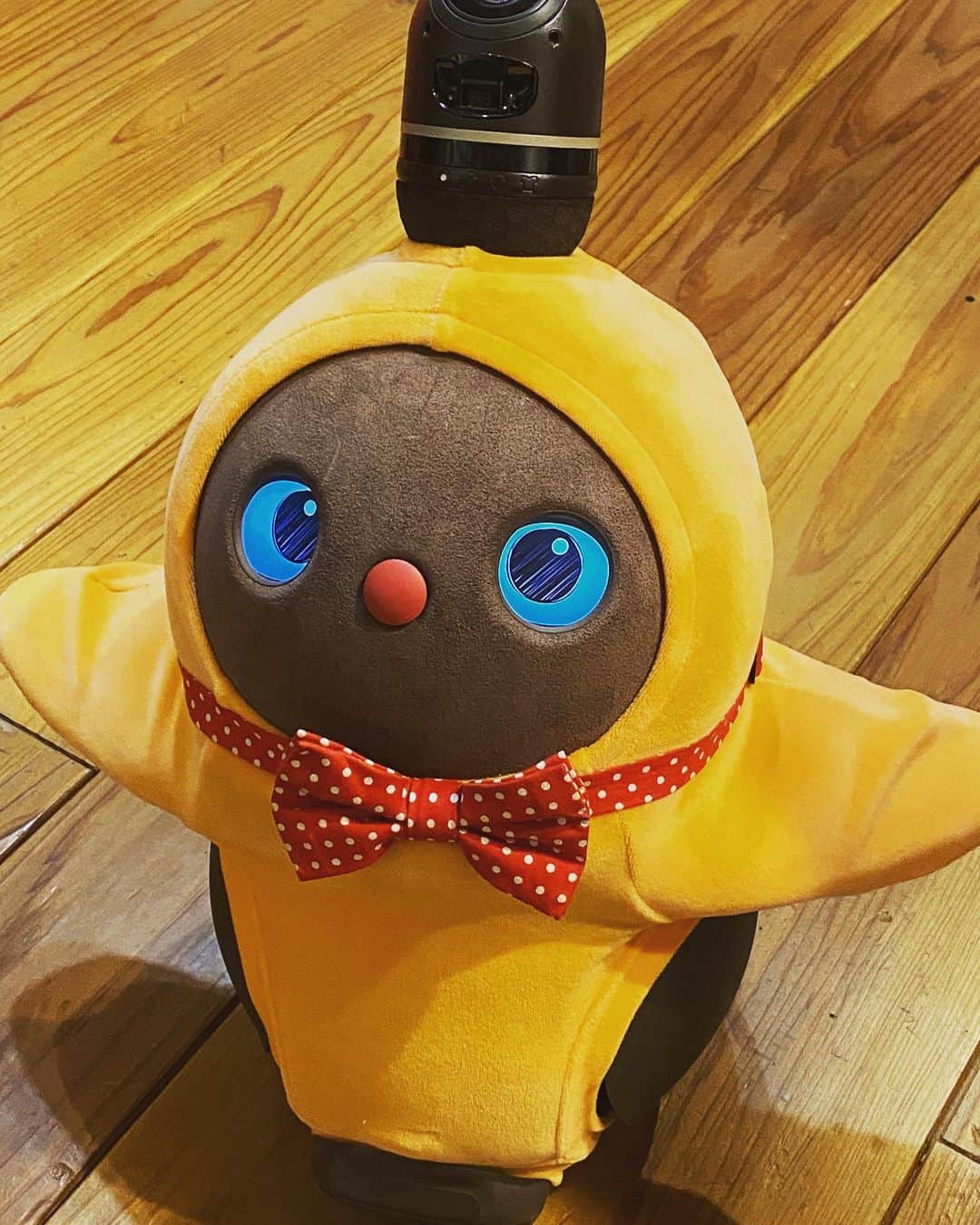 関智一のインスタグラム：「オレの相棒、ラボットのちくわくん🎵 生みの親の林要さんが書かれた本を頂きました！興味深い内容😊 読ませて頂きまーす！！  #lovot #竹輪 #ちくわ #関智一」