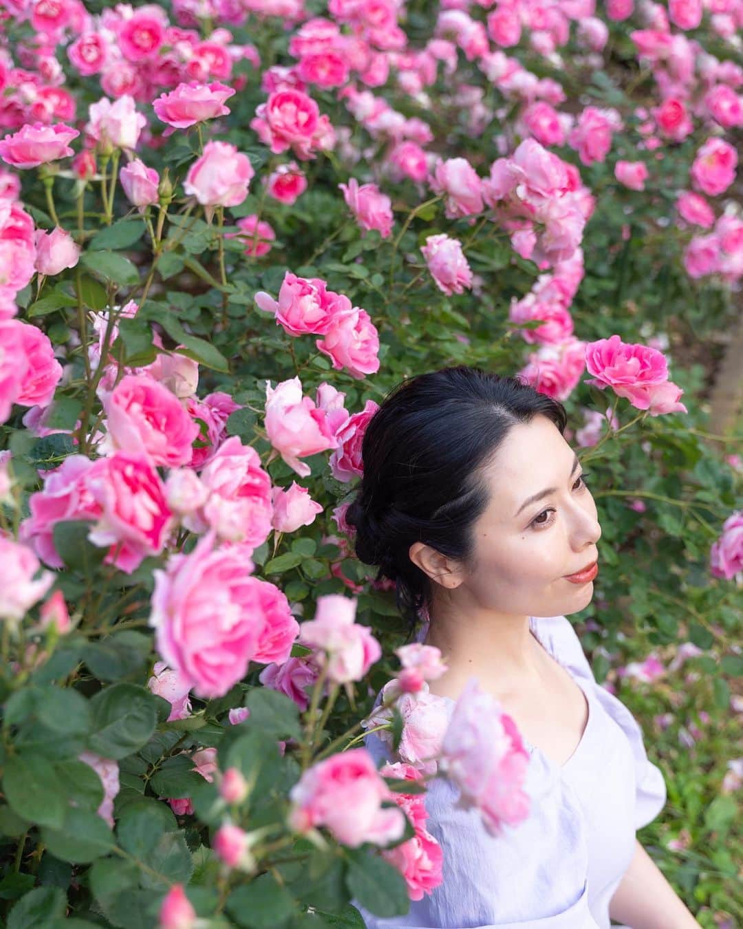 和希優美さんのインスタグラム写真 - (和希優美Instagram)「知ってますか？ 代々木公園のバラ庭園🌹 ⁡ ⁡ 初めて来た時から 代々木公園の薔薇って 本当美しいんです❂‧₊˚ ⁡ 個人的には このピンクのカラーが 一気に華やかになるので ⁡ ⁡ ⁡ 今週末の日曜日は 「春のバラフェスタ」も 開催するそうです♡ ⁡ ⁡ ┈┈┈┈┈┈┈┈┈┈┈┈┈┈┈┈┈ ⁡ 📍  代々木公園 📮  渋谷区代々木神園町、神南二丁目  🚃  ＪＲ原宿駅・千代田線代々木公園駅徒歩３分 📞  03-3469-6081　(代々木公園サービスセンター) 🚗  あり※有料 ⁡ ┈┈┈┈┈┈┈┈┈┈┈┈┈┈┈┈┈ ⁡ いいね、コメント 有り難うございます ◡̈✩ フォローは @kazukiyumi から フォローしてください𓂃♡ ⁡ 気になったり、 あとでゆっくり読みたい人は 忘れずに！ 保存してくださいね🏷✨ ⁡ ┈┈┈┈┈┈┈┈┈┈┈┈┈┈┈┈┈ ⁡ #Rose #バラ #薔薇 #花がある暮らし #旅するように暮らす #代々木公園 #yoyogipark #japan_daytime_view #ポートレートセレクション  #pixlib_jp #みんすと  #japan_waphoto #japantrip  #ポートレート #風景写真 #カメラ好きな人と繋がりたい  #カメラ女子 #一眼レフ初心者 #カメラのある生活 #誰かに見せたい景色 #その瞬間に物語を #ファインダー越しの私の世界 #絶景 #日本の絶景 #旅するように暮らす #写真で伝えたい私の世界  #この世界はイロドリで満ちている #photogenic_jp #genic_japan ⁡」5月19日 22時00分 - kazukiyumi