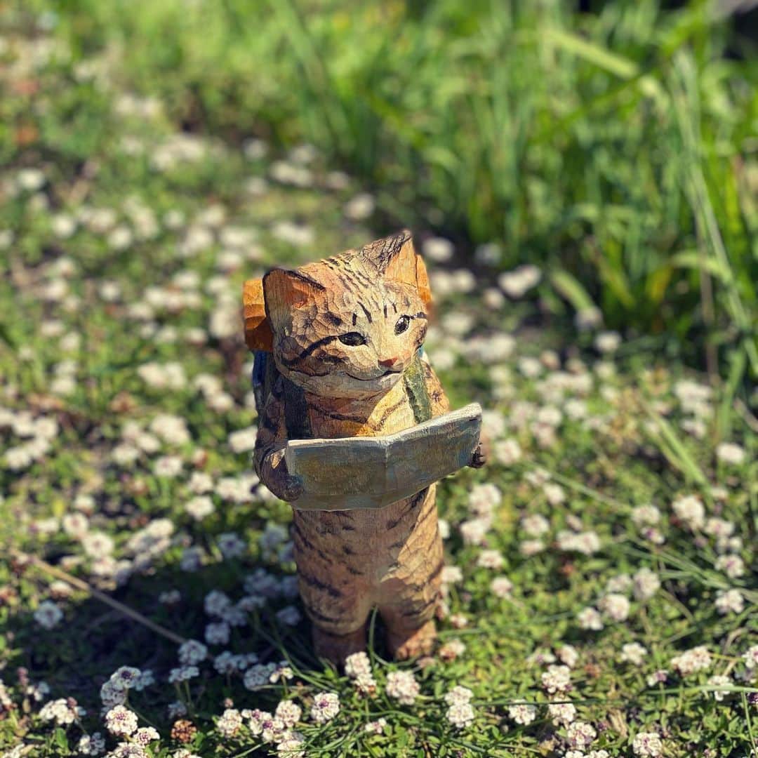 花房さくらさんのインスタグラム写真 - (花房さくらInstagram)「時として、お花畑に迷い込む。 「道に迷うのもいいもんだ」  #猫は時として旅をする  #cat #sculpture #hanafusasakura」5月19日 22時00分 - sakura_hanafusa