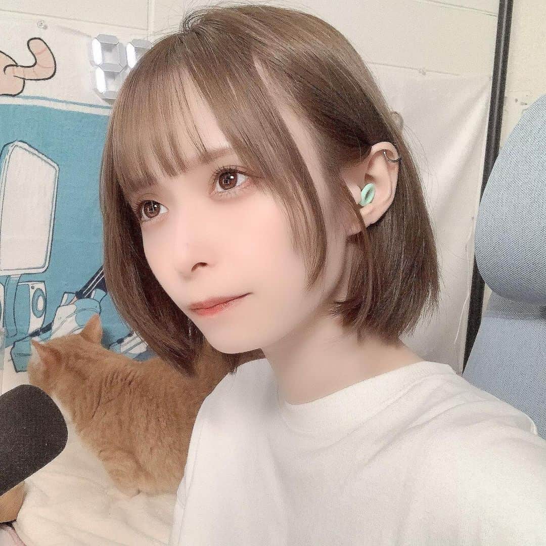 つぶらのインスタグラム：「@LoopEarplugs さんより耳栓提供して頂きました！最近睡眠苦手すぎてちゃんと寝れてないので助かった、、！ 早速試しに音鳴らしながらどんだけ遮音性あるか使ってみたけどいい感じに遮音出来てて良きでした◎色も形もかわいいね  🕊10%OFFになるコード発行して頂きました！6月まで有効です！  "LOOPXTSUBURA"  ↓こちらから https://www.loopearplugs.jp/  #LoopEarplugs #Looppartner @LoopEarplugs #pr」