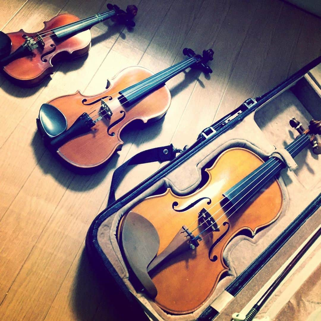 sayaのインスタグラム：「🎻🎻🎻  先日、マンションの右隣の部屋から出てきた女の人がバイオリンケースを持っていたので(この人、バイオリンの人だ)と思ったところでしたが  今日、エレベーターで乗り合わせた女の子がたまたま左隣の部屋の人でバイオリンケースを持っていました。左もバイオリンの人だ…！3人同時に弾いてる瞬間が…🦭✨(防音なので何も聞こえません)  1ヶ月以内にレルエから色々告知があると思います。お楽しみに💐  saya」