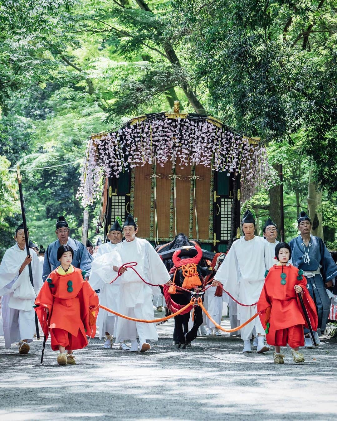 京都いいとこフォトのインスタグラム：「. 京都三大祭のひとつ「葵祭」。 4年ぶりの開催となった「路頭の儀」では、平安貴族の衣装を身にまとった総勢約500人が、京都御所から上賀茂神社へと練り歩きます。 . The Aoi Matsuri is one of the three major festivals in Kyoto. In the "Roto no gi(Roadside ceremony)" held for the first time in four years, a total of about 500 people dressed in the costumes of Heian aristocrats parade from the Kyoto Imperial Palace to Kamigamo Shrine. . Date : 2023.5.16 Location : #下鴨神社 #糺の森 Photo : @kohei713 .」