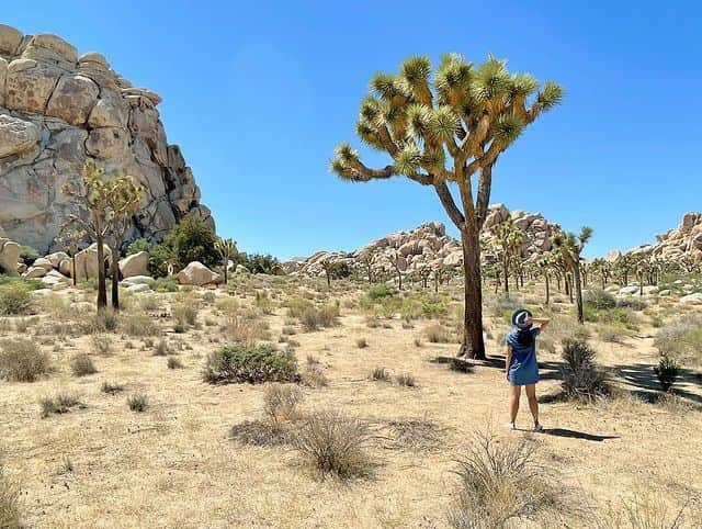 デルタ航空のインスタグラム：「Weekend plans: enjoying these views 🏜️   Photo: @recyc_ling」