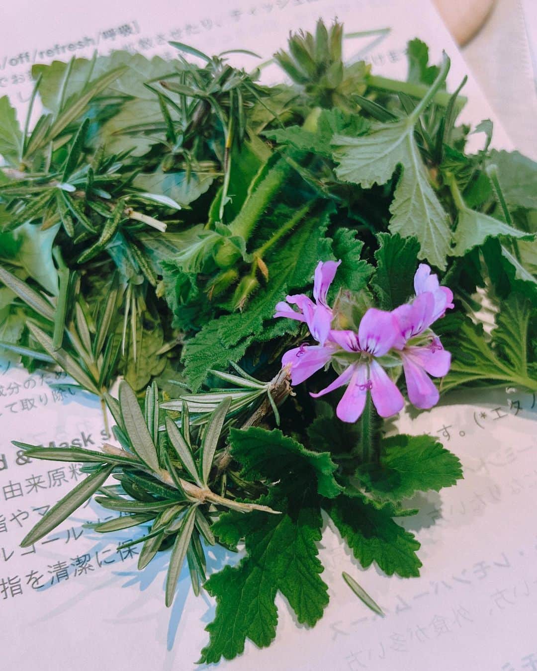 イアリサさんのインスタグラム写真 - (イアリサInstagram)「@fragrance_yes  @eatripsoil  植物蒸留のアロマサンスクリーン作ってきました。 ひとりでWS行くの久しぶりでちょっとドキドキしました。笑  自分で選んだ香りを混ぜたサンクスリーンは嗅いだことがあるようでないような...自分にとって大切にできる香りになりました。 私は皆さんからは華やかで爽やかな香りと言われました！その中に少し甘い香りがします。なんだろな〜 みんなに嗅いでほしいよぅ。  アロマの残りはティッシュに垂らして持ち帰り、今もクンクン嗅いでいます。ずっと。ずーっと。  人が作った香りや単品の香りを嗅ぎ続けることはありませんが、やはり自分が求めた香りなのでずっと嗅げるんだなぁと思います。 自分という存在がいま植物に求めたものが目の前で形として香りとしてできたということですもんね。  24種類の香りから5種類を選ぶ工程はとてもおもしろく、全部バッグに忍ばせておきたい！と思うほどいい香りで。  私はなんでもすぐに効果が出るもんで たくさんのピュアでナチュラルな香りを体内に得たので、帰って気絶するように寝ました。笑  ここ数年香りにはこだわって生きてきてますが改めて、鼻、侮れん。いや、鼻の大切さを確認できました。自分の嗅覚もっと大切にしよう。  目はモノを見ると周りの景色もボヤけて見えますが、そうだな...ノイキャンした時の耳みたいな感じですよね香りって。 目を瞑って香りを嗅ぐと、香りが隣にいるんじゃなくて香りそのものに自分がなったような感覚。好きだな〜。  ここ数年海に行く時は できるだけ海に迷惑がかからないサンスクリーンを使っていたので、今年の夏は自分で作ったものを使う予定です。  香りだけでここまで体が緩むのは初めてです。 温泉や自然に行くこと私大好きなんですけどどうしても東京では難しくて... でも、東京で自然を感じれる生き方を教わりました。  もう把握できないほどの情報やモノが溢れかえる世界ですが、自分を救ってくれるもの、自分を豊かにサポートしてくれるものはとてもシンプルなものなんだと思います。  いい体験ができました。 また行きたいです。  #最後のフレグランススプレーはもう3本目でいつもBAGに入れてます」5月19日 23時03分 - _i.arisa_