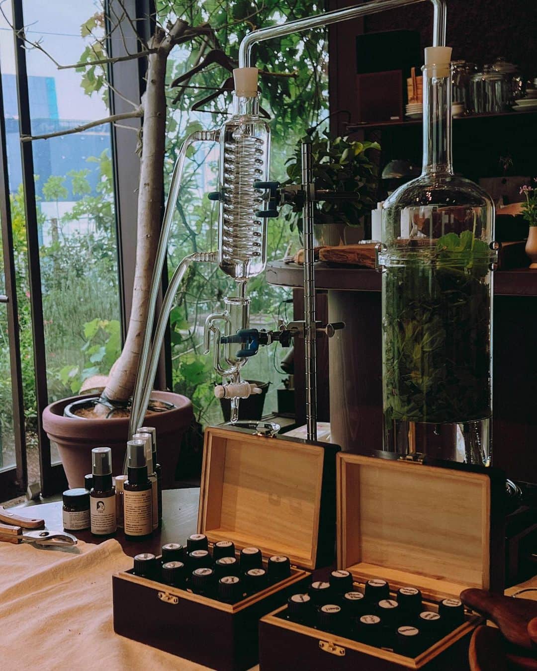 イアリサのインスタグラム：「@fragrance_yes  @eatripsoil  植物蒸留のアロマサンスクリーン作ってきました。 ひとりでWS行くの久しぶりでちょっとドキドキしました。笑  自分で選んだ香りを混ぜたサンクスリーンは嗅いだことがあるようでないような...自分にとって大切にできる香りになりました。 私は皆さんからは華やかで爽やかな香りと言われました！その中に少し甘い香りがします。なんだろな〜 みんなに嗅いでほしいよぅ。  アロマの残りはティッシュに垂らして持ち帰り、今もクンクン嗅いでいます。ずっと。ずーっと。  人が作った香りや単品の香りを嗅ぎ続けることはありませんが、やはり自分が求めた香りなのでずっと嗅げるんだなぁと思います。 自分という存在がいま植物に求めたものが目の前で形として香りとしてできたということですもんね。  24種類の香りから5種類を選ぶ工程はとてもおもしろく、全部バッグに忍ばせておきたい！と思うほどいい香りで。  私はなんでもすぐに効果が出るもんで たくさんのピュアでナチュラルな香りを体内に得たので、帰って気絶するように寝ました。笑  ここ数年香りにはこだわって生きてきてますが改めて、鼻、侮れん。いや、鼻の大切さを確認できました。自分の嗅覚もっと大切にしよう。  目はモノを見ると周りの景色もボヤけて見えますが、そうだな...ノイキャンした時の耳みたいな感じですよね香りって。 目を瞑って香りを嗅ぐと、香りが隣にいるんじゃなくて香りそのものに自分がなったような感覚。好きだな〜。  ここ数年海に行く時は できるだけ海に迷惑がかからないサンスクリーンを使っていたので、今年の夏は自分で作ったものを使う予定です。  香りだけでここまで体が緩むのは初めてです。 温泉や自然に行くこと私大好きなんですけどどうしても東京では難しくて... でも、東京で自然を感じれる生き方を教わりました。  もう把握できないほどの情報やモノが溢れかえる世界ですが、自分を救ってくれるもの、自分を豊かにサポートしてくれるものはとてもシンプルなものなんだと思います。  いい体験ができました。 また行きたいです。  #最後のフレグランススプレーはもう3本目でいつもBAGに入れてます」
