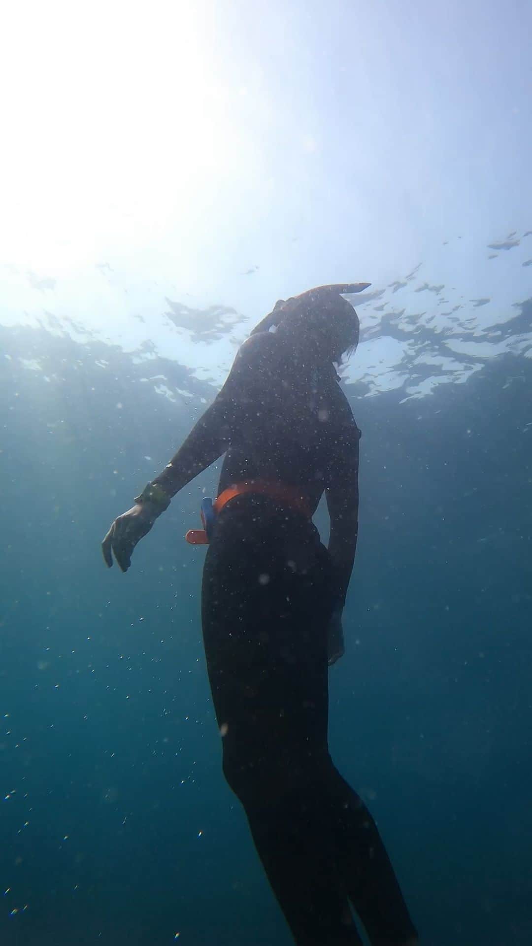 Hikaru Nakamuraのインスタグラム：「海洋公園で12M潜って来ました🤿 10M未満と10M以上では水圧の違いをスキューバダイビングよりもスキンはグッと重く感じた。 いつか20Mの世界に🐳  #スキンダイビング#伊豆#海洋公園#海#夏#海が好き #ダイビング#自然#静岡#diving#skindiving#エモい#チル」