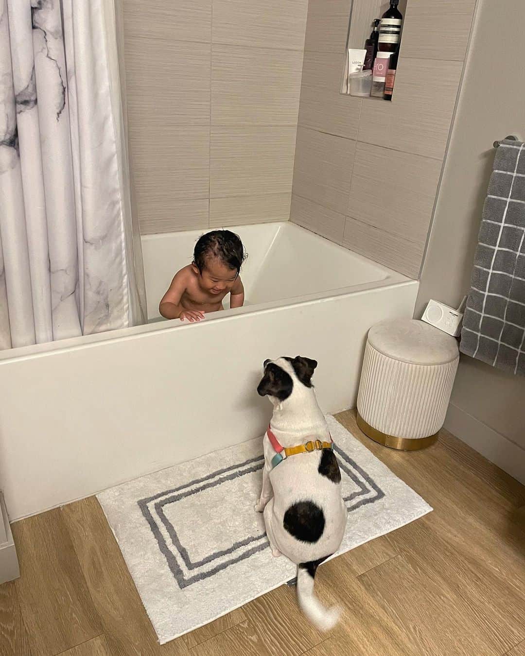 Mのインスタグラム：「🛁🩵🩵  #1歳7ヶ月#犬と赤ちゃんのいる生活#令和3年10月ベビー#海外旅行#子連れ海外#子連れ海外旅行#海外デビュー#息子溺愛部#男の子ベビー#1歳の男の子#犬と赤ちゃんのコラボ」