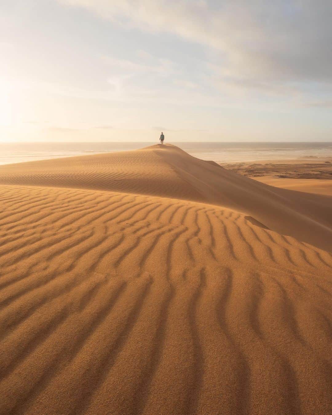 Australiaさんのインスタグラム写真 - (AustraliaInstagram)「Sand, sun, and endless adventure await at #HentyDunes! 🌞 Captured here beautifully by @danielclarkephoto, these magnificent dunes in @tasmania are the ultimate playground for thrill-seekers and nature enthusiasts alike. Located just north of #Strahan in @westcoasttas, embrace the rush of sandboarding down towering slopes or simply basking in the awe-inspiring beauty of this unique landscape. Tag a mate who is up for the adventure! 🏄‍♀️ #seeaustralia #comeandsaygday #discovertasmania #westcoasttas」5月20日 5時00分 - australia